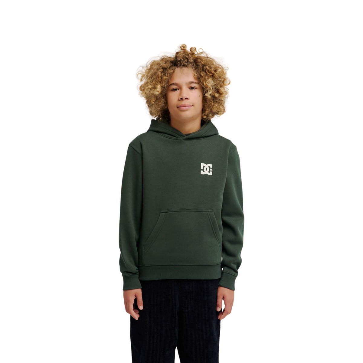 Sweat capuche PUSHING FORWARD. vert deep forest, DC SHOES