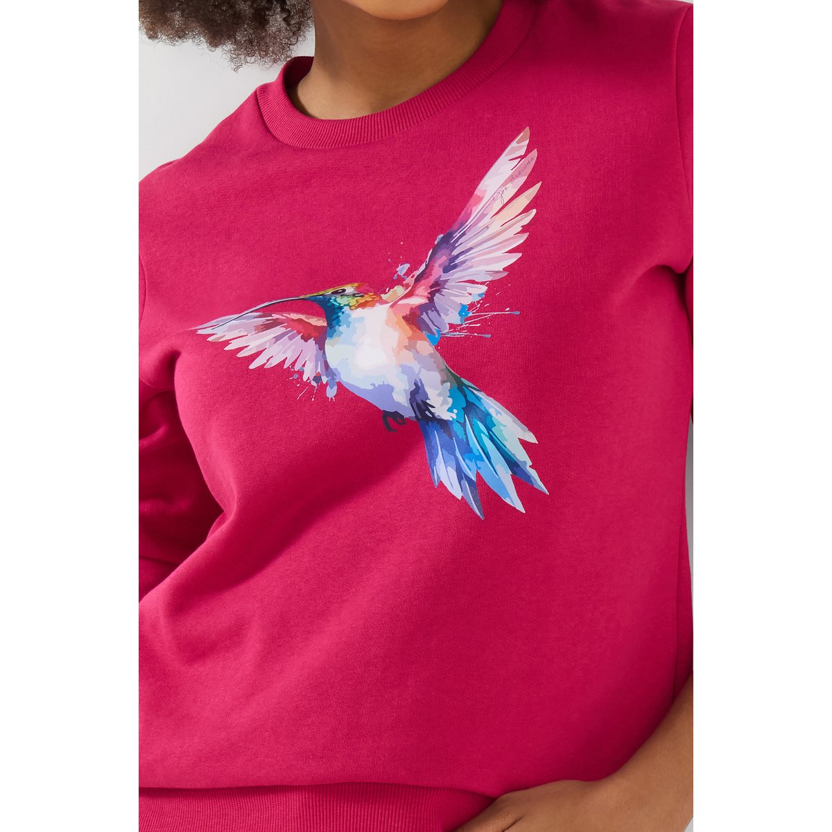 Sweat-shirt à motif colibri rose, JOE BROWNS