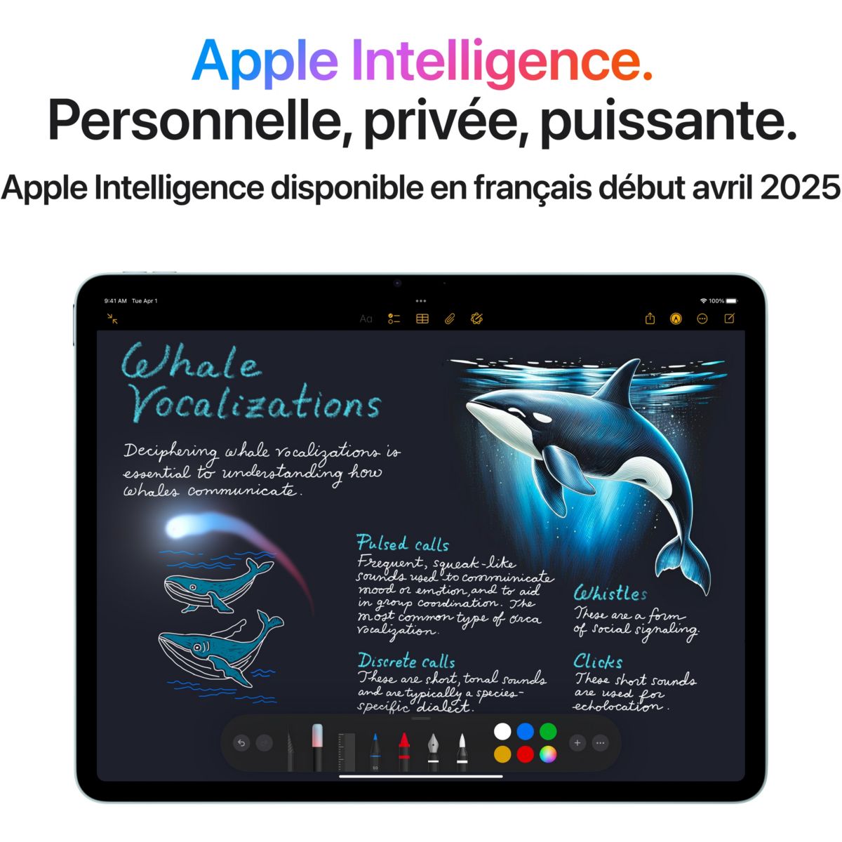 Tablette Apple Air 11 M3 512Go Mauve Cellular 2025 violet, APPLE
