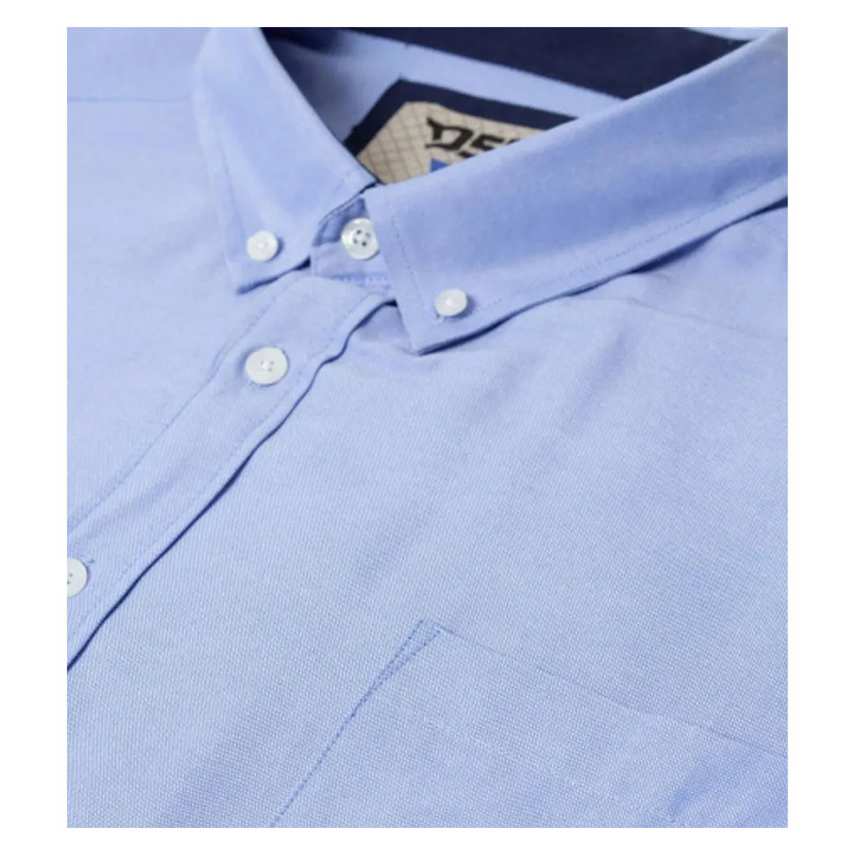 Chemise manches courtes grande taille JAMES bleu ciel, DUKE