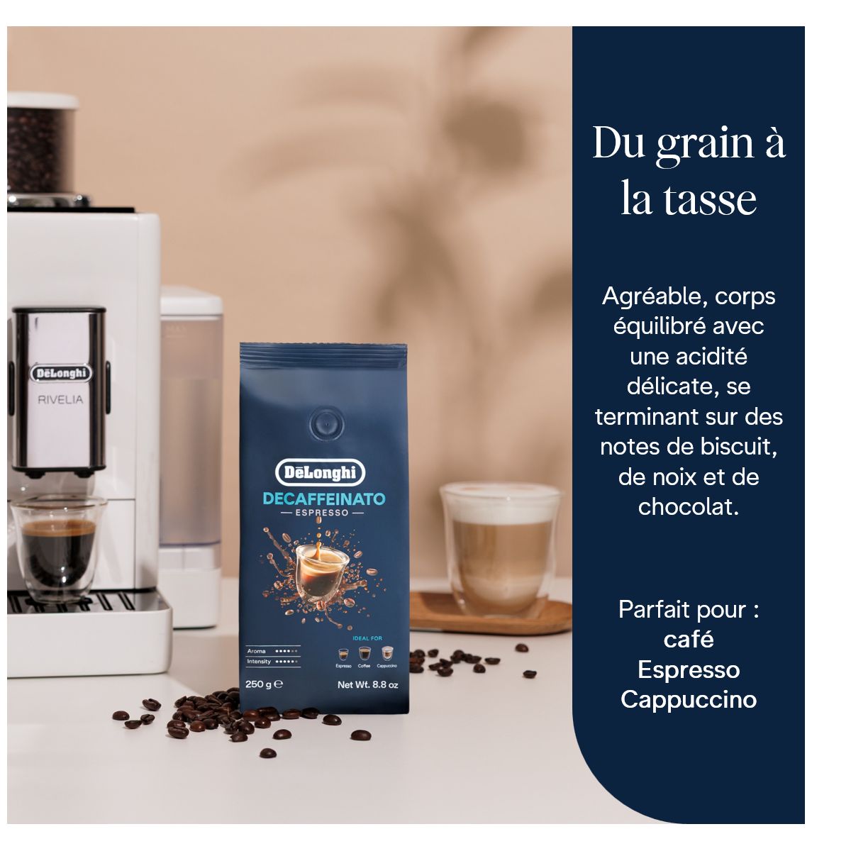 Café en grain 250G Décafeiné DLSC603 couleur unique, DELONGHI