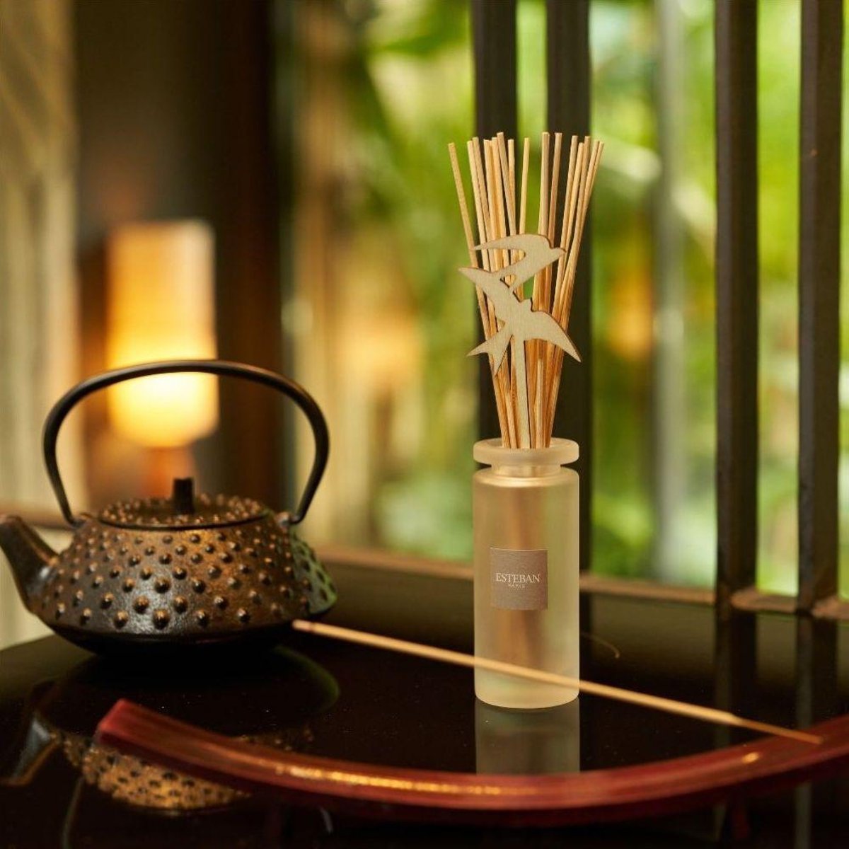 Parfum d'intérieur - Encens 20 bâtonnets Citronnelle Menthe marron, ESTEBAN