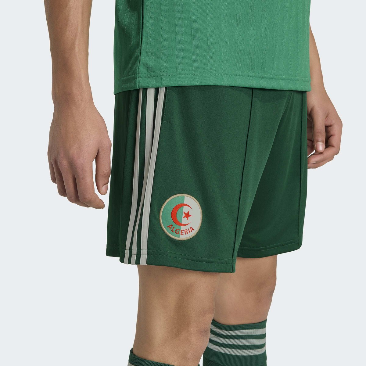 Short Extérieur Algérie 26 Short Extérieur Algérie 26 team dark green, adidas Performance