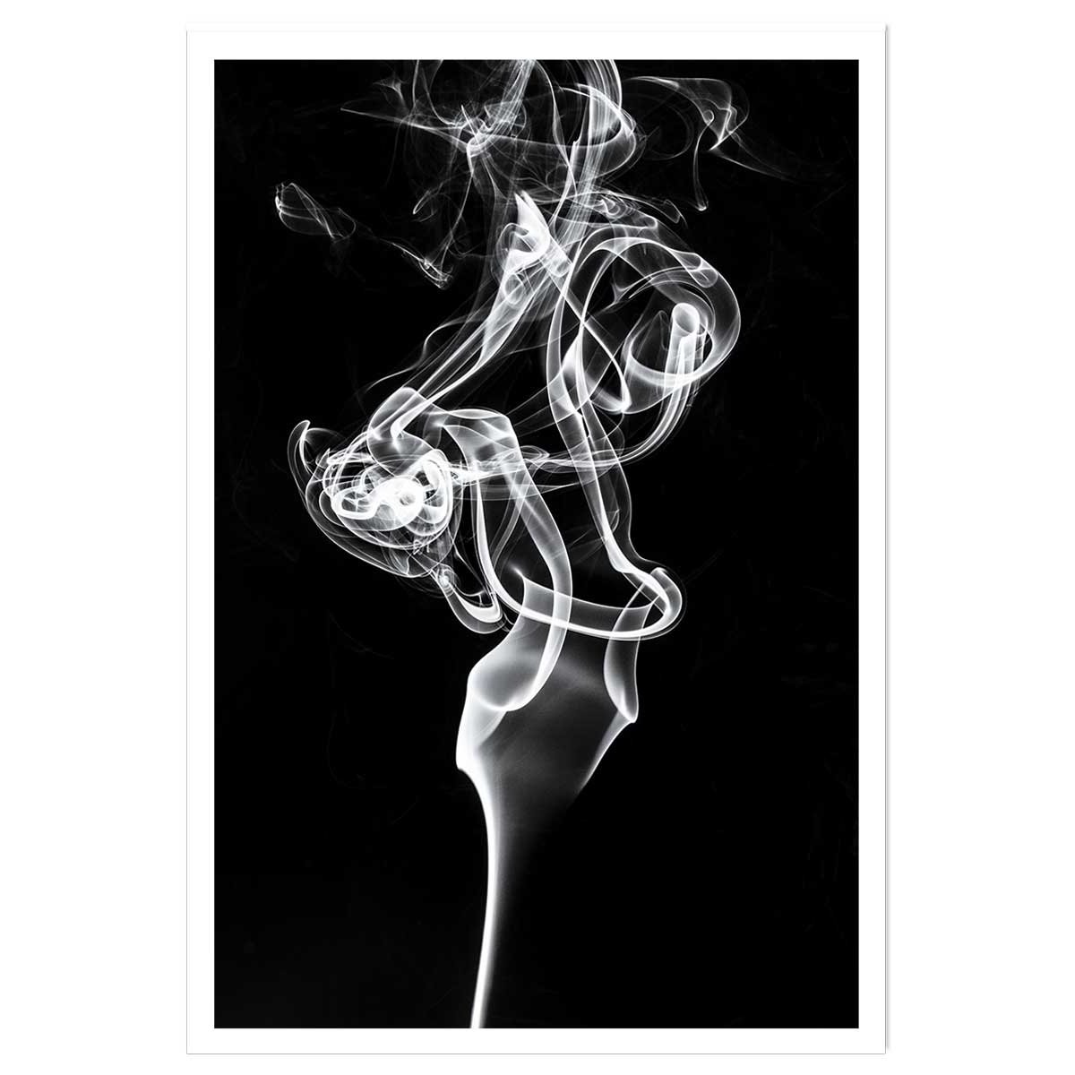 Poster white smoke tulip dream affiche seule, HEXOA