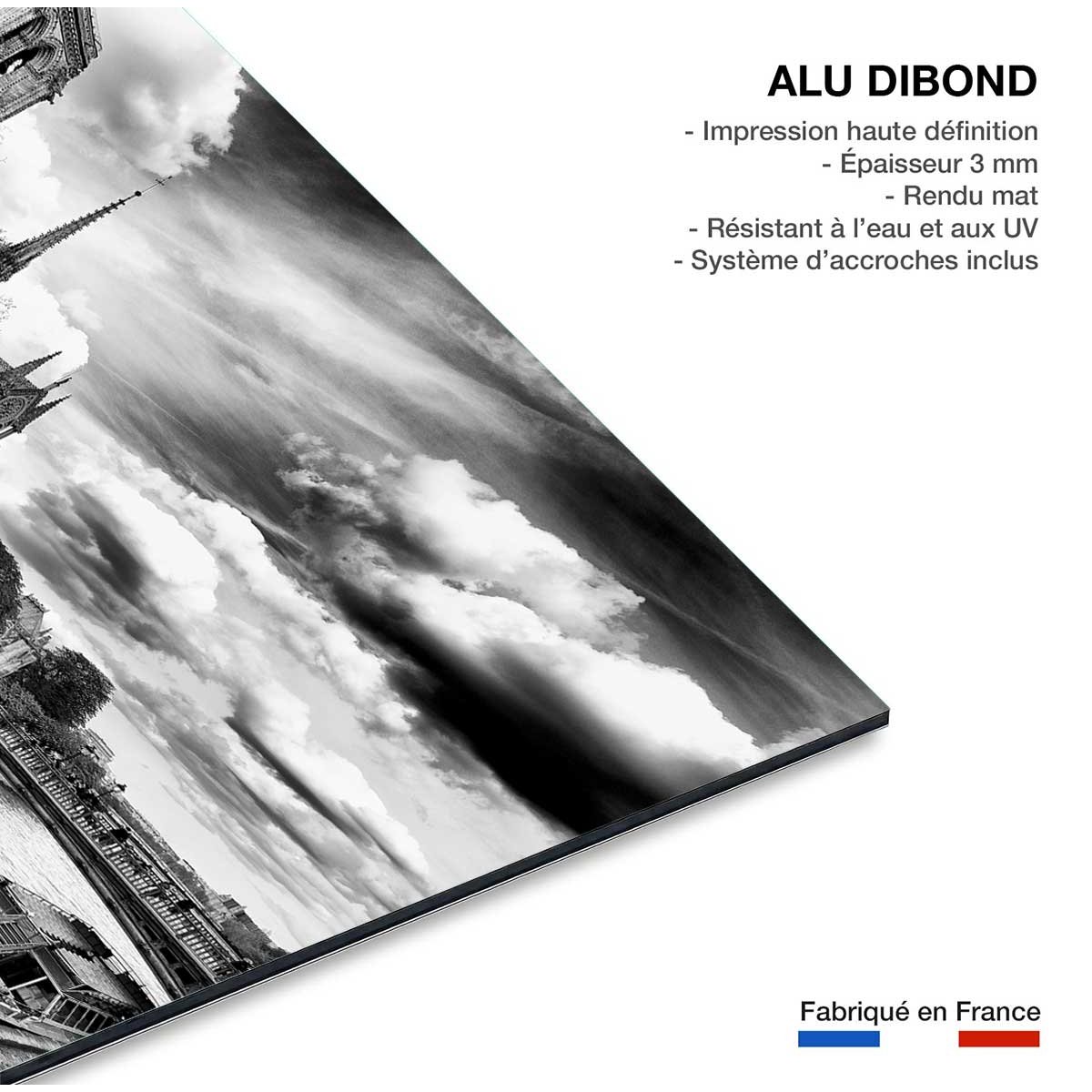 Tableau notre dame de paris tableau alu dibond, HEXOA