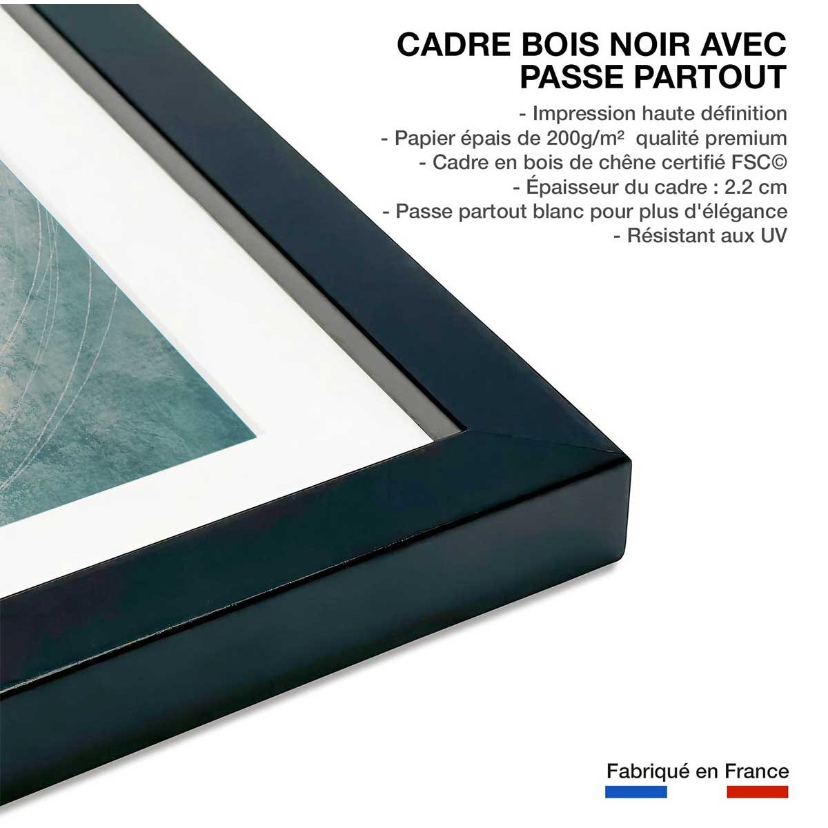 Affiche illustration oiseau lyre affiche + cadre en bois - noir, HEXOA