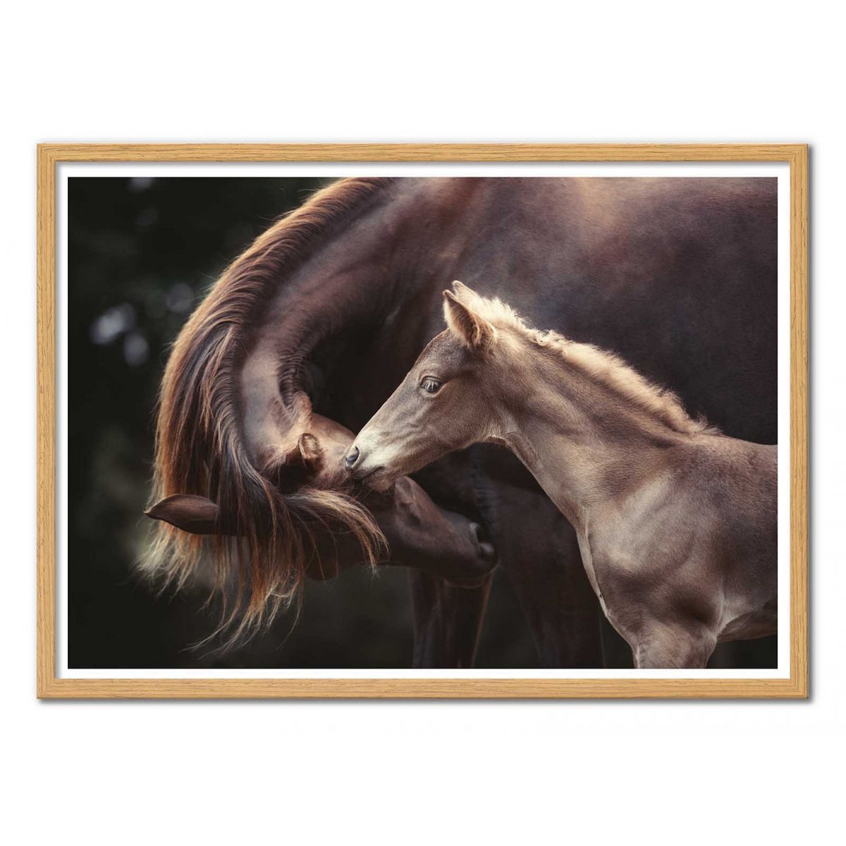 Affiche d’art et cadre noir 50 x 70 cm - The Bond - Heike Willers affiche d'art, WALL EDITIONS