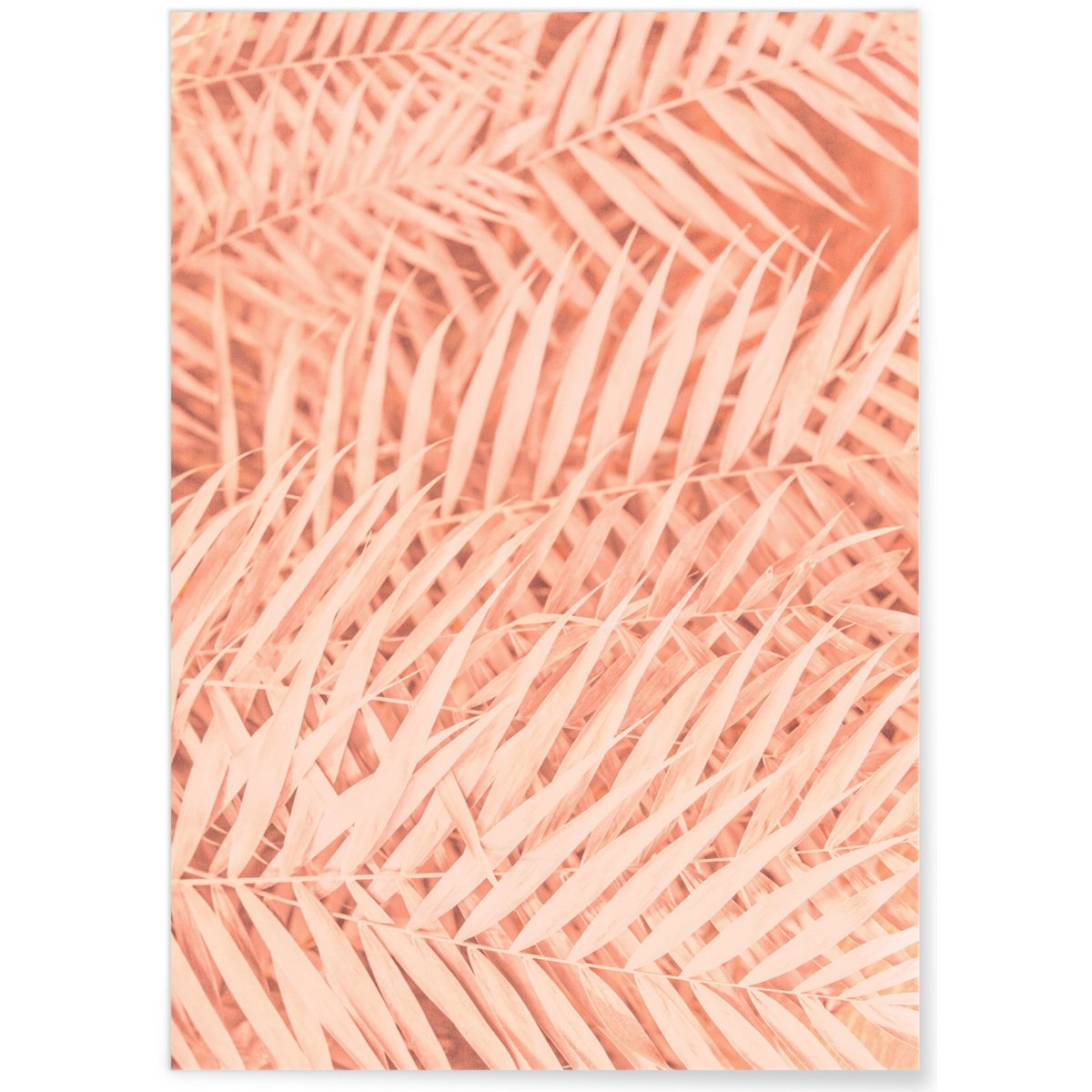 Poster Feuilles de Palmier Tropical blanc, L'AFFICHERIE