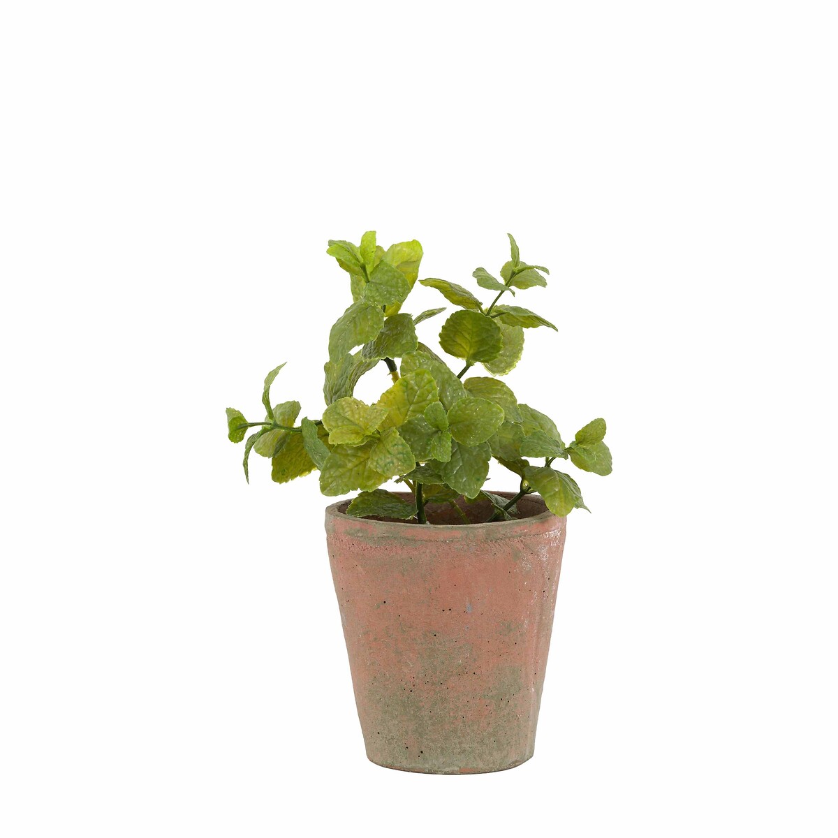 23cm Potted Mint in Terracotta Pot red, ÉDITÉ