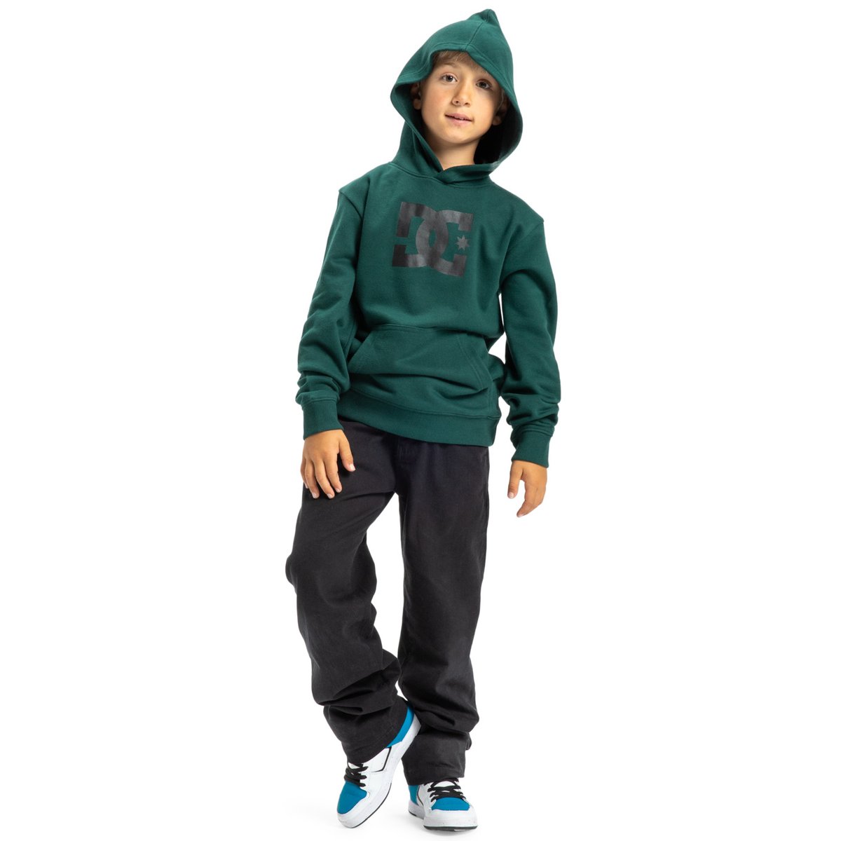 Sweat à capuche. vert ponderosa pine, DC SHOES