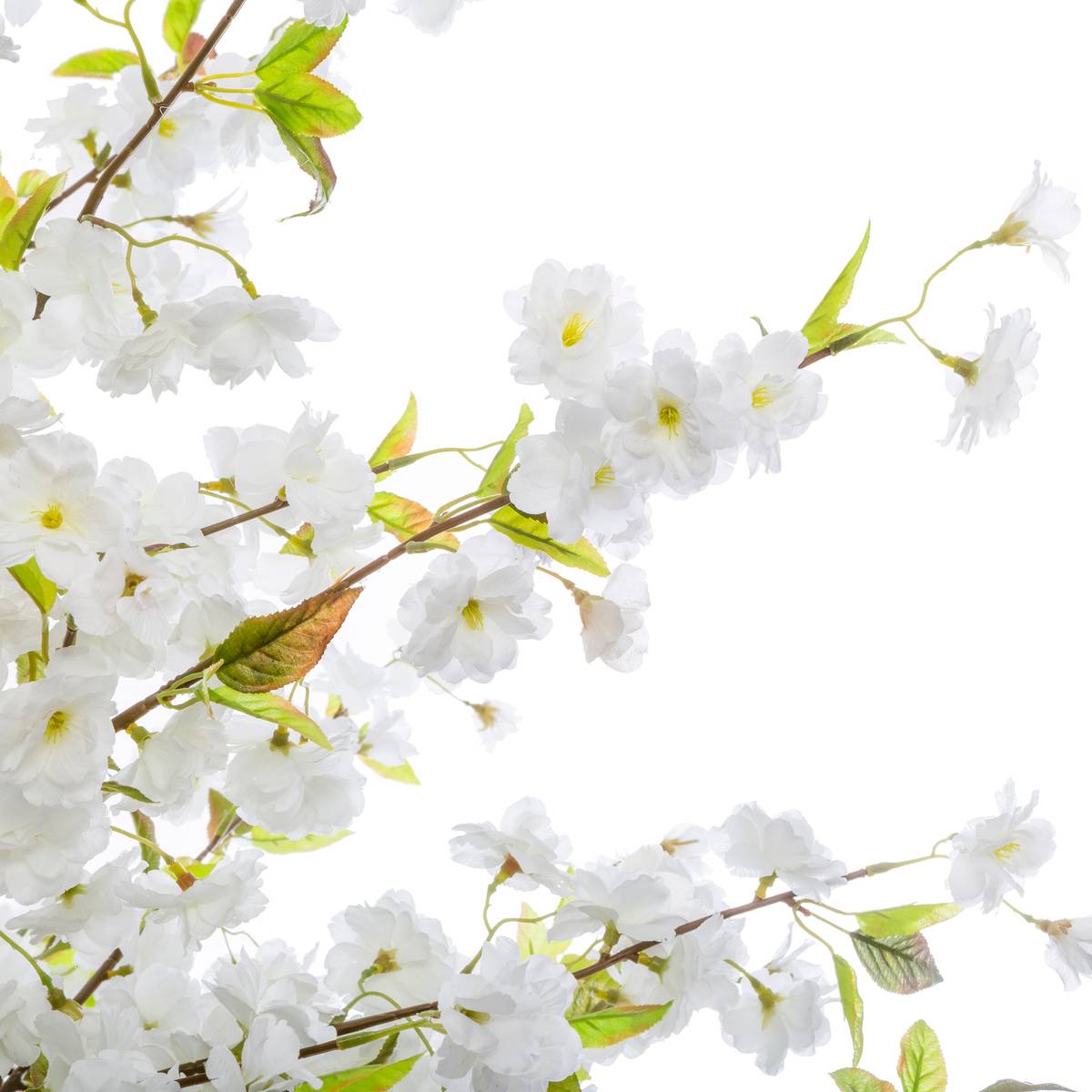 Cerisier artificiel blanc, ATMOSPHERA