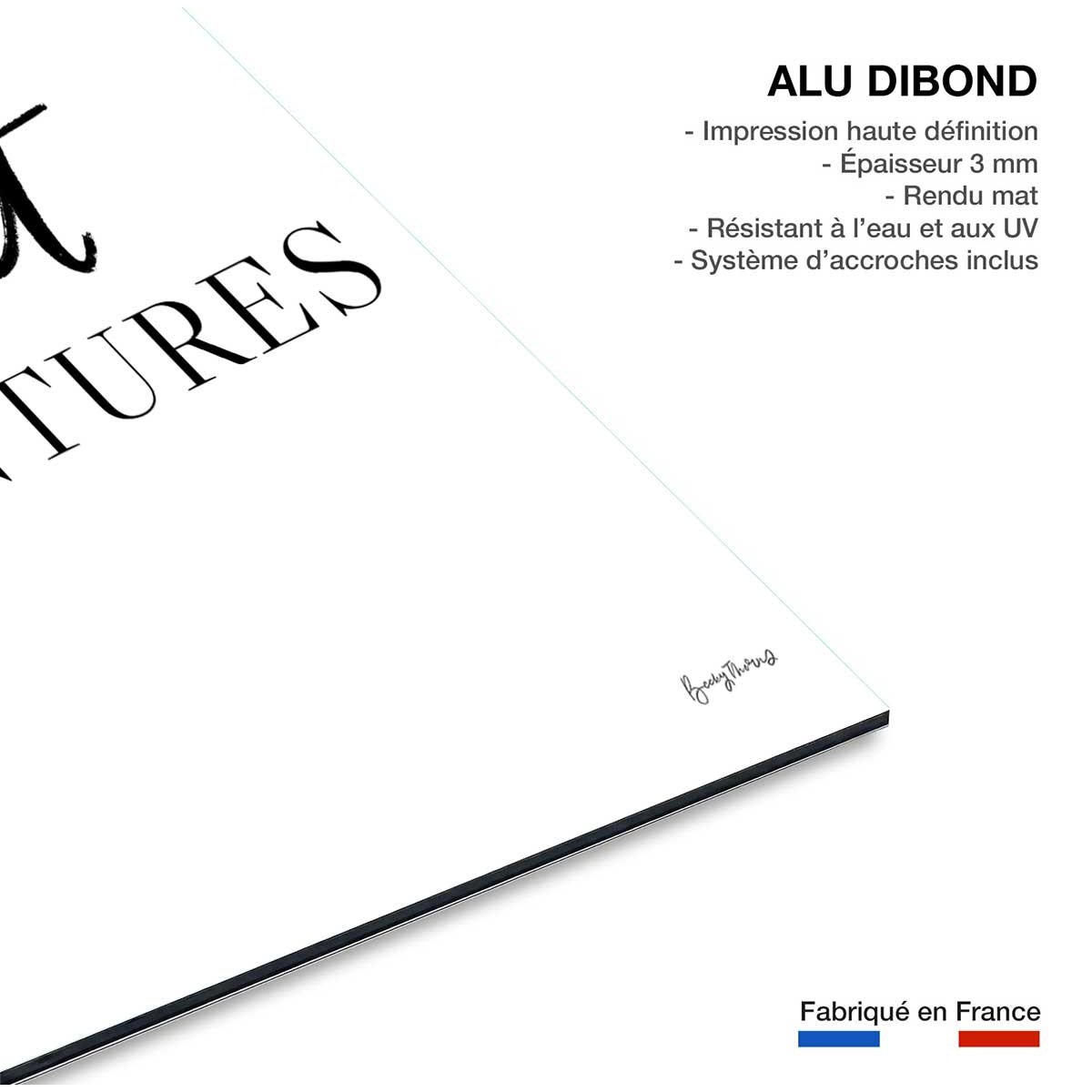 Tableau collect adventure tableau alu dibond, HEXOA