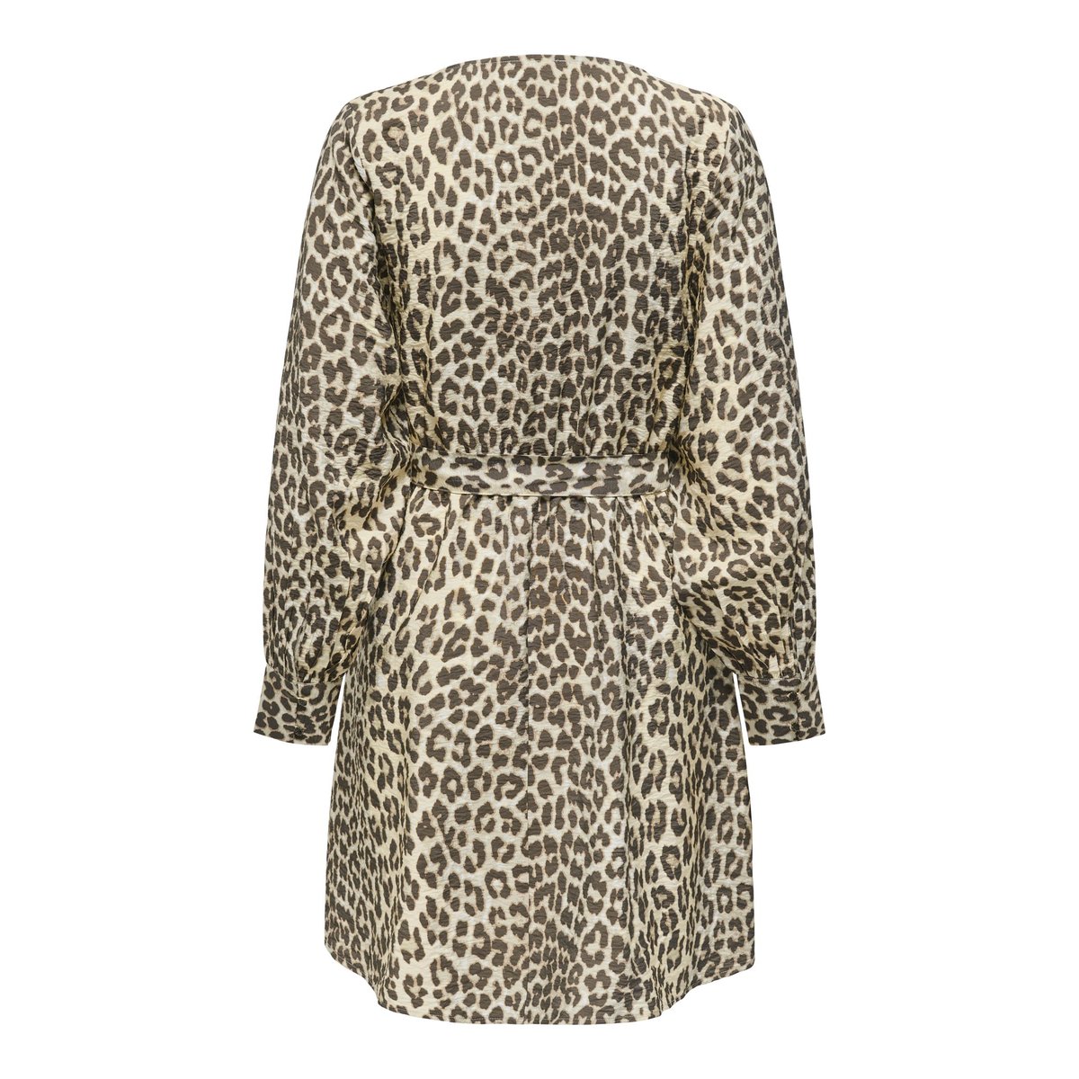 Robe birch, JDY