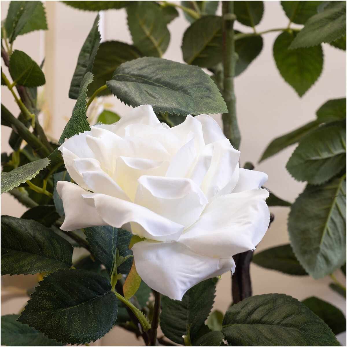 126cm Rose Tree green, SO'HOME