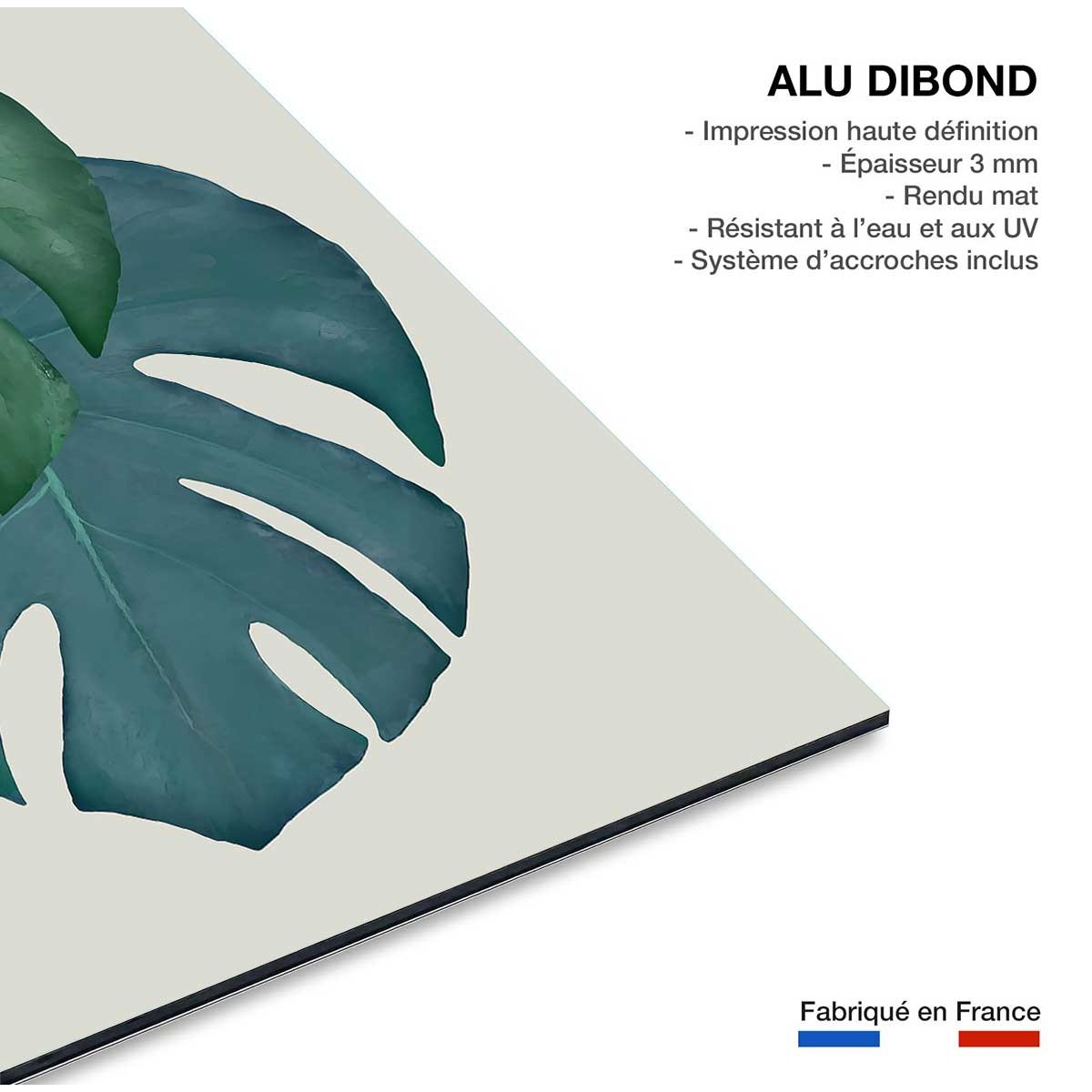 Tableau Monstera turquoise tableau alu dibond, HEXOA
