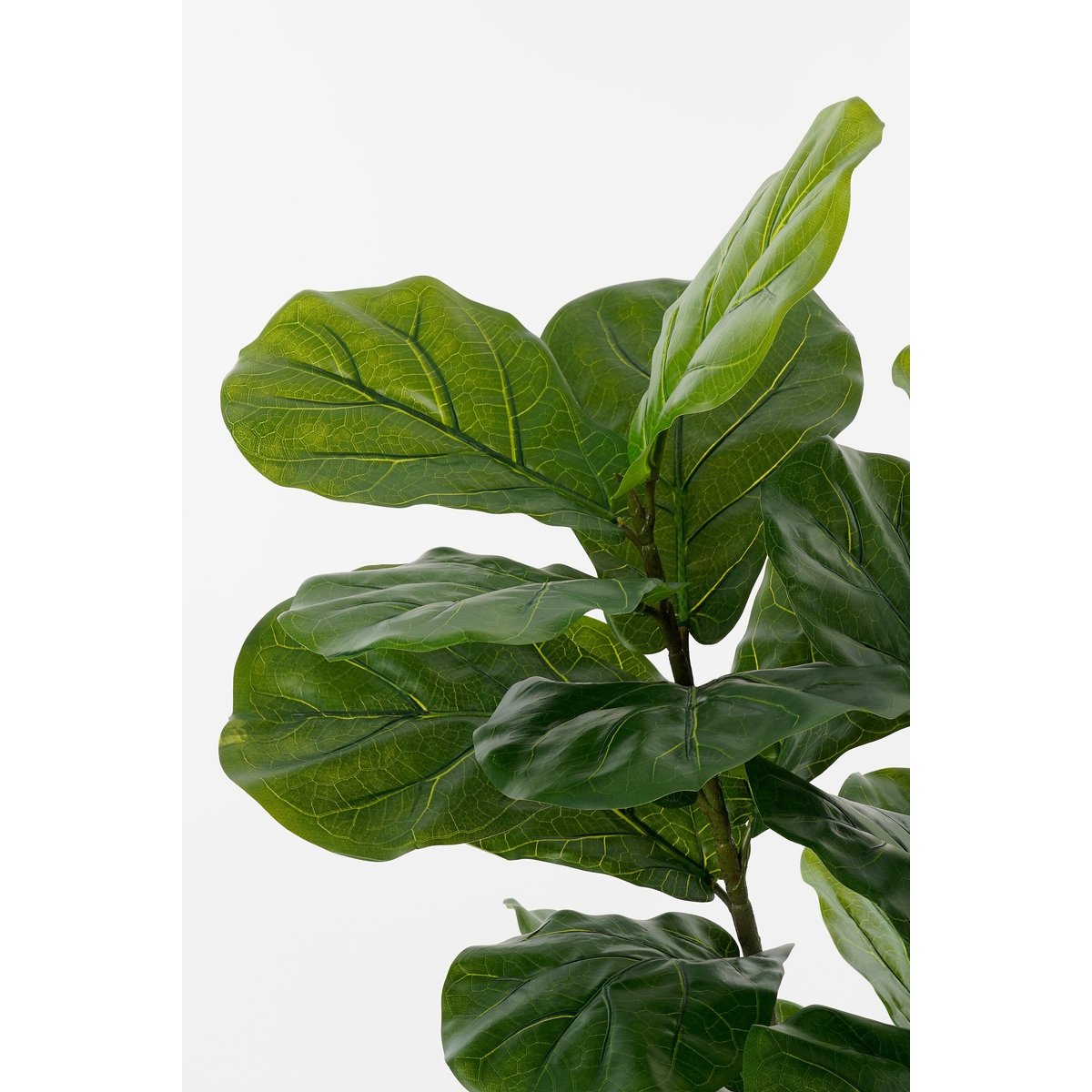 Plante artificielle FICUS vert, MICA DECORATIONS