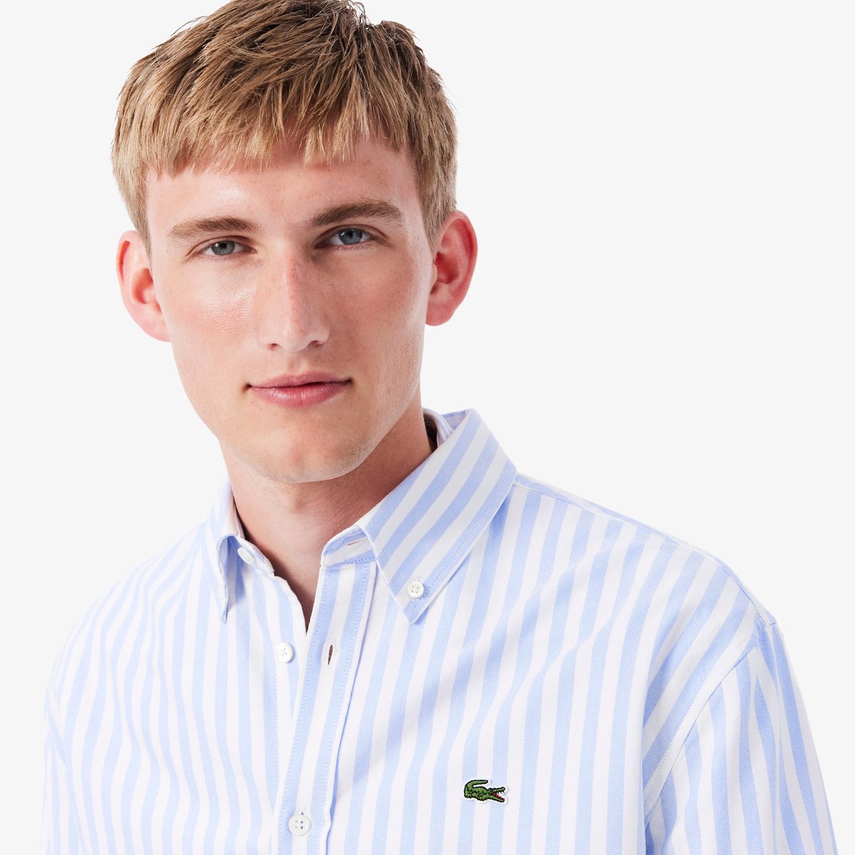 Chemise Oxford rayée regular fit bleu-e7b, LACOSTE