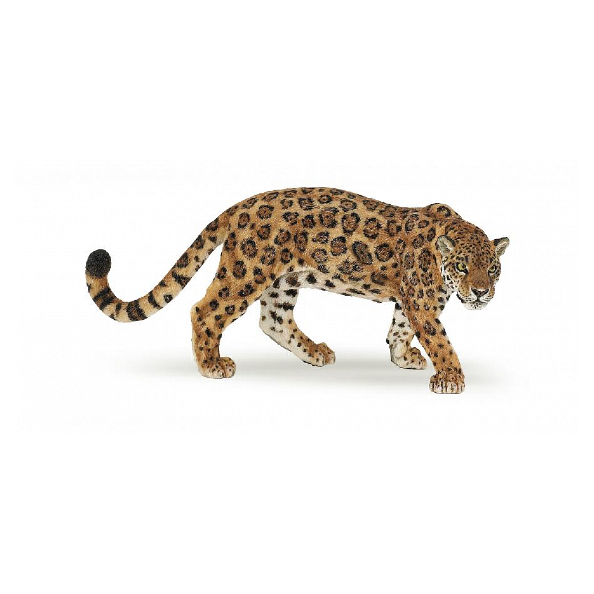 Jaguar couleur unique, PAPO
