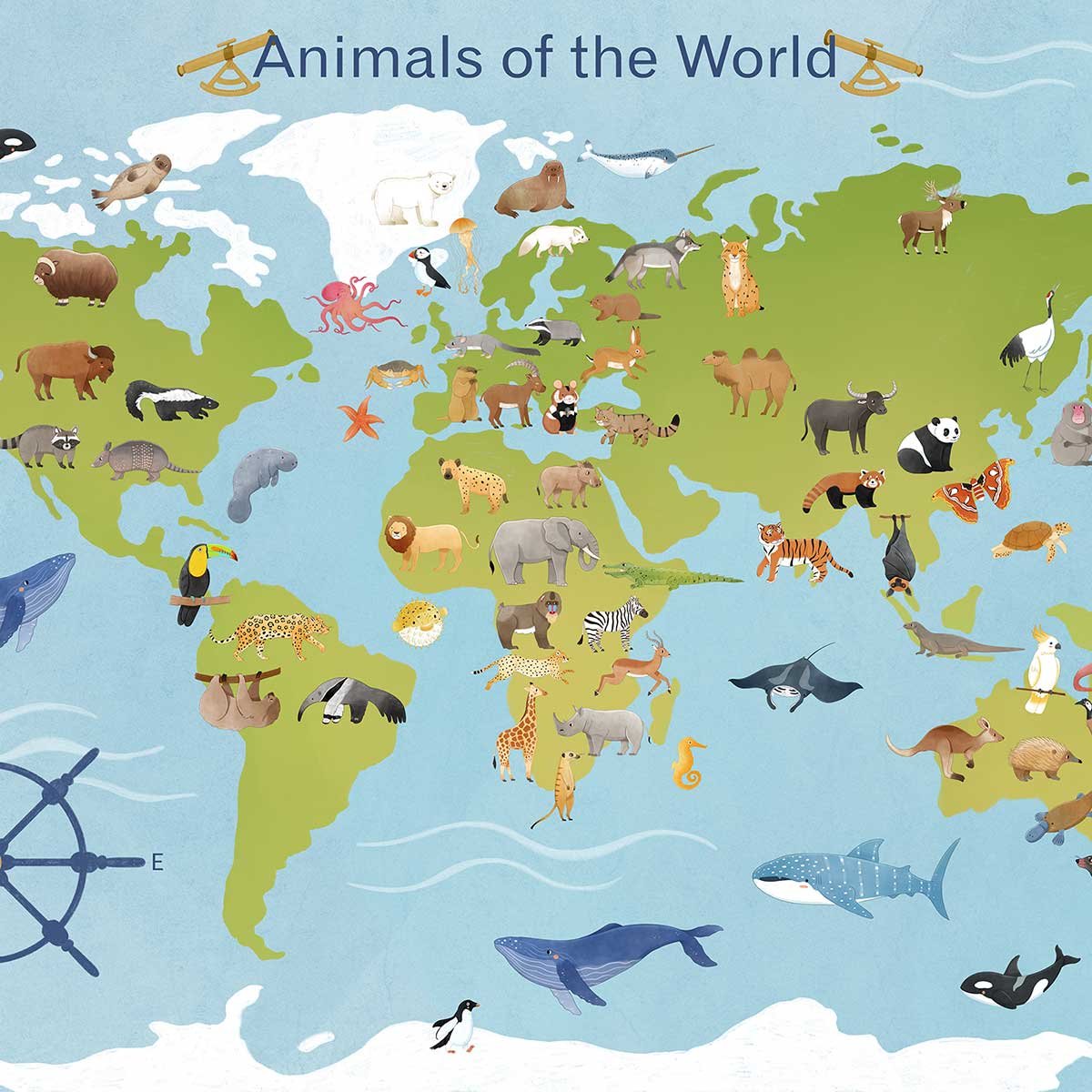 Affiche enfant animaux du monde affiche seule, HEXOA