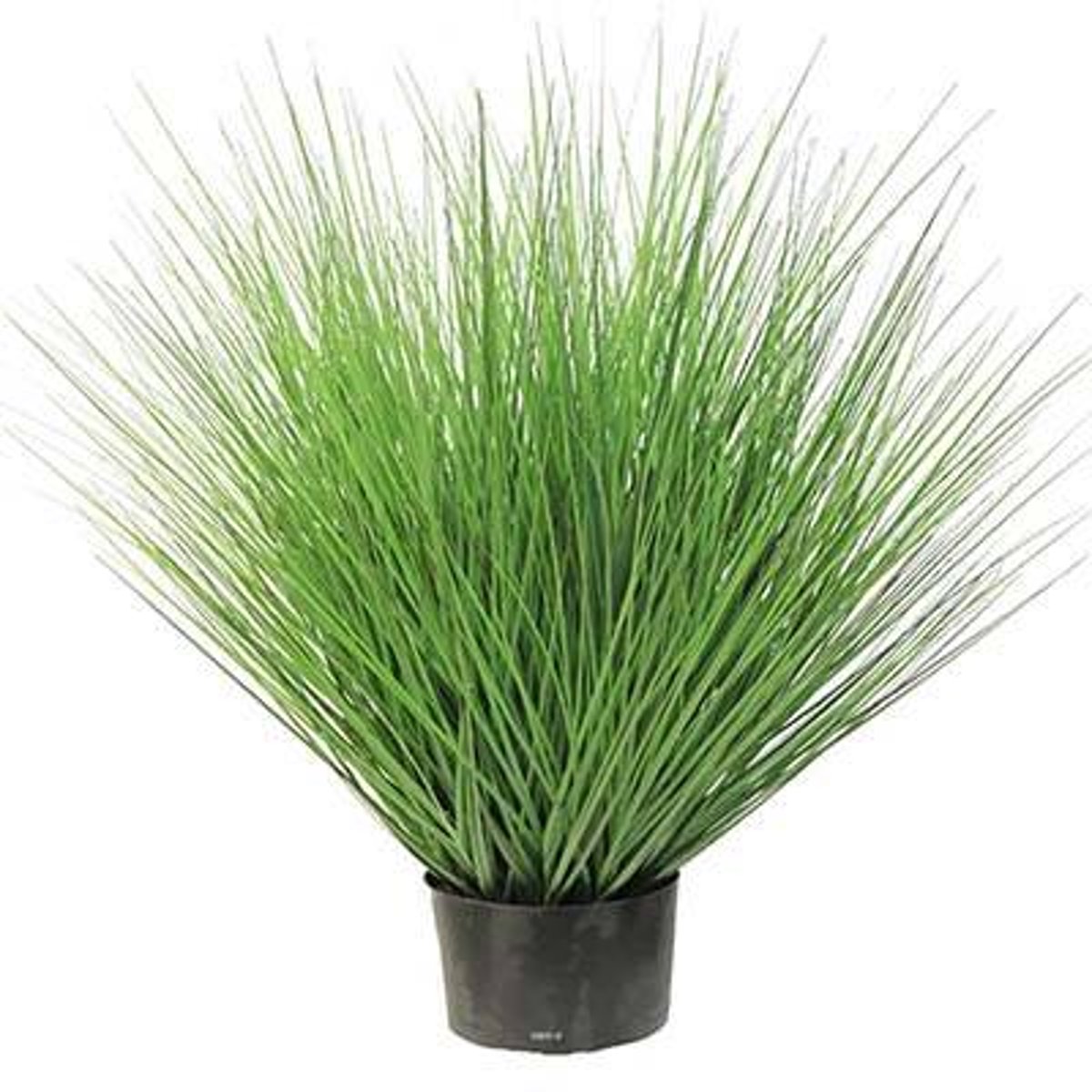 Isolepsis en pot artificiel H 91 cm D 63 cm v002239, ARTIFICIELLES