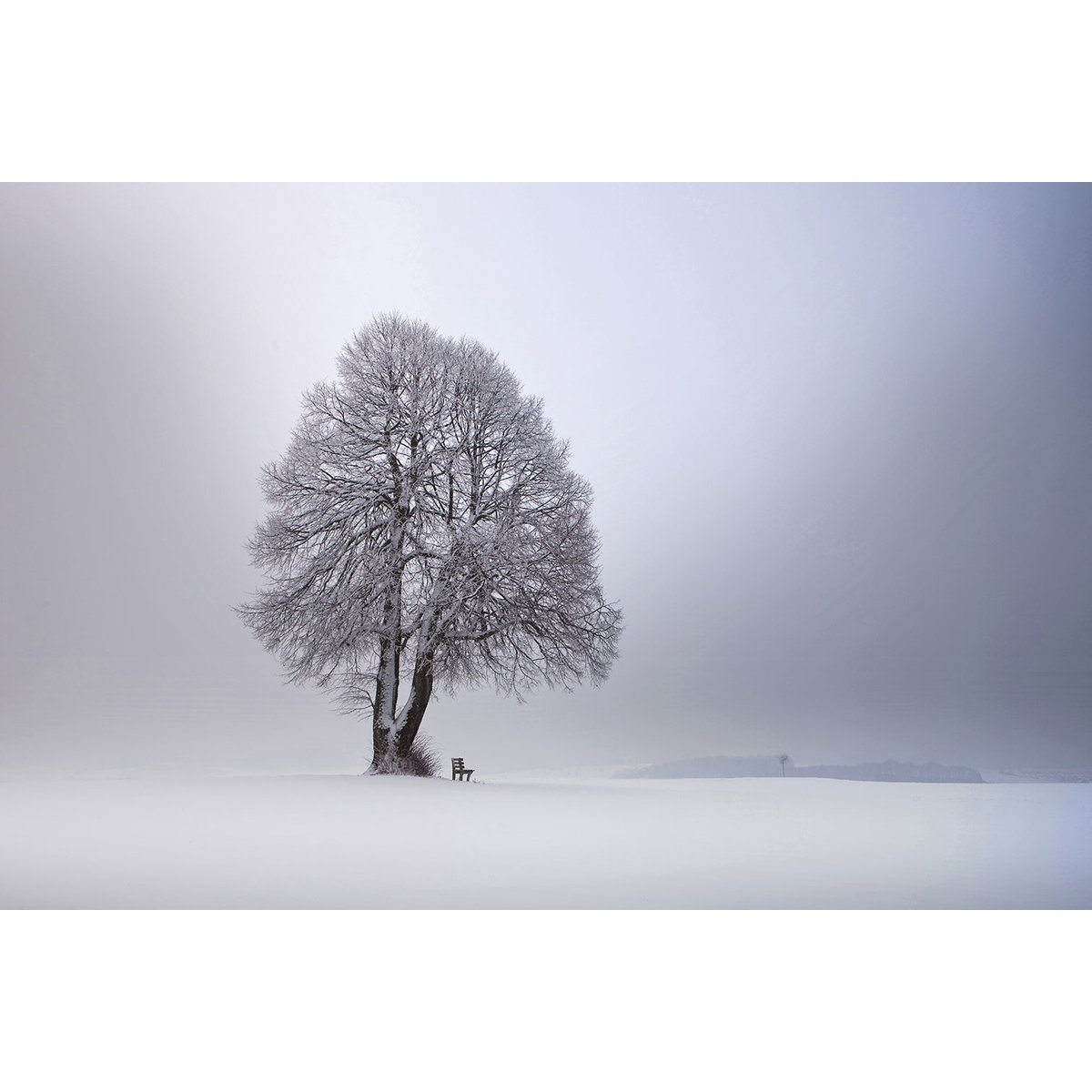 Tableau paysage Lumière d' hiver tableau alu dibond, HEXOA