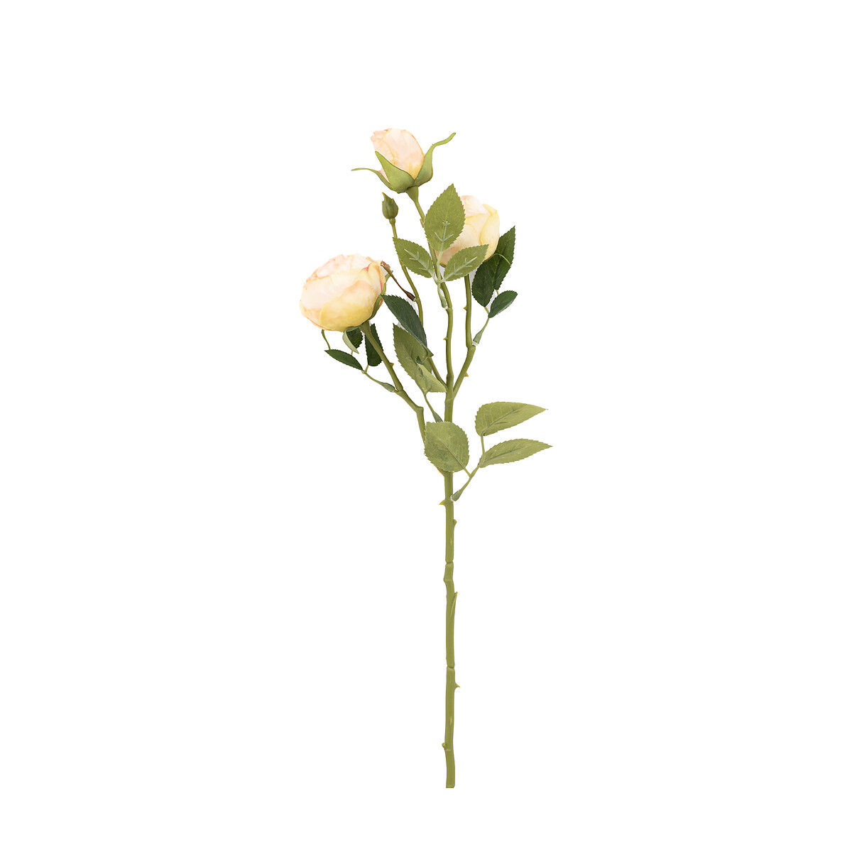 6pk 54cm Vintage Rose Faux Stems white, SO'HOME