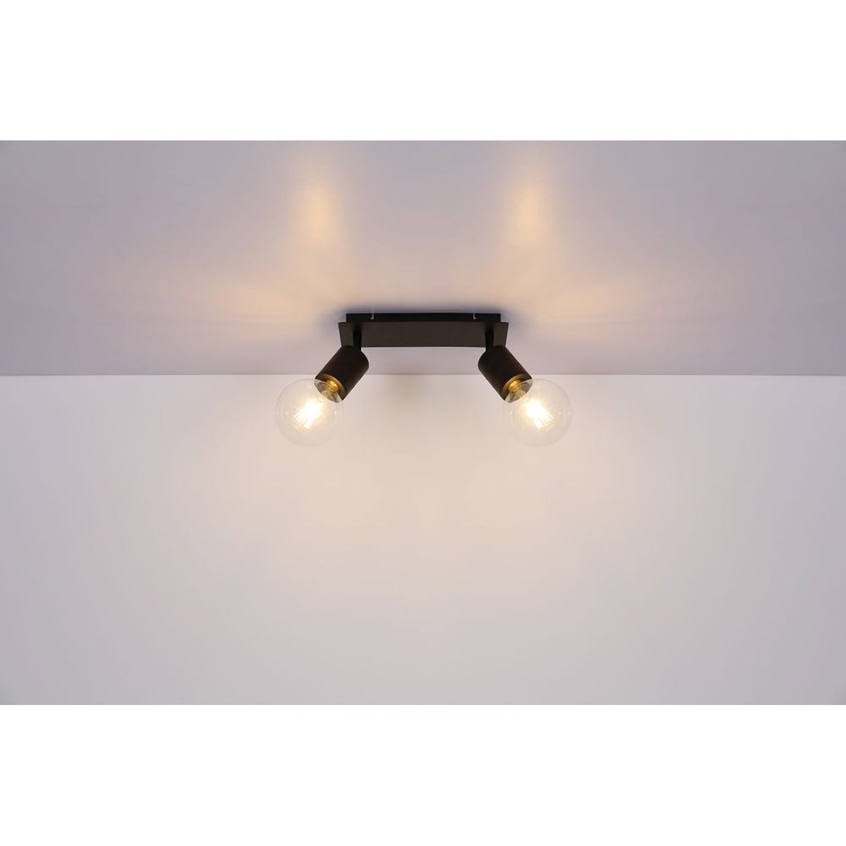 Plafonnier 2 ampoules en métal design industriel HERMINE noir, GLOBO LIGHTING