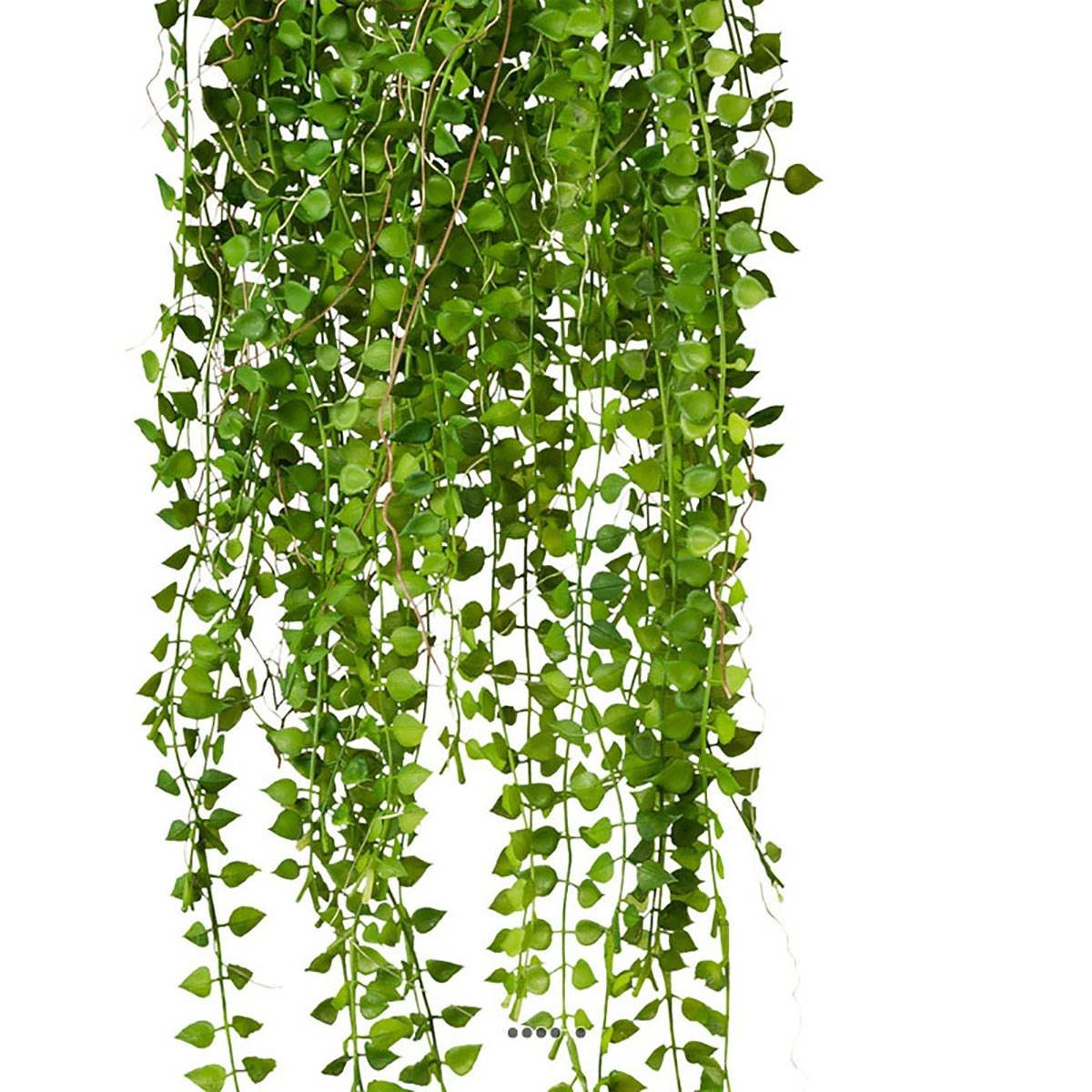 Chute de columnea artificiel L 70 cm v002239, ARTIFICIELLES