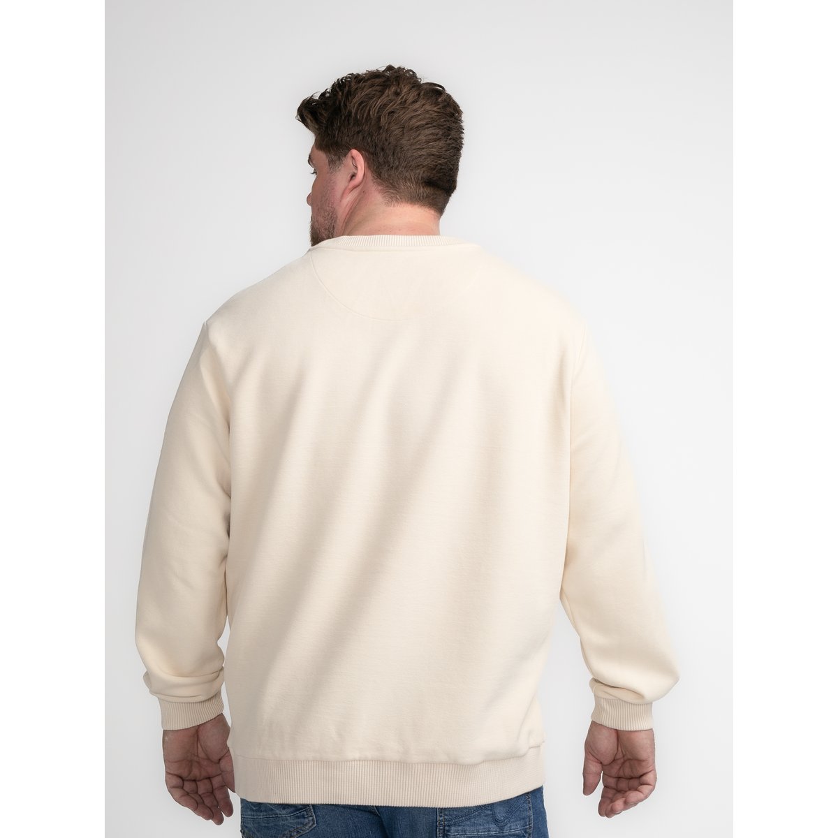 Sweat à décontracté plus size kavik marron ecru, PETROL INDUSTRIES