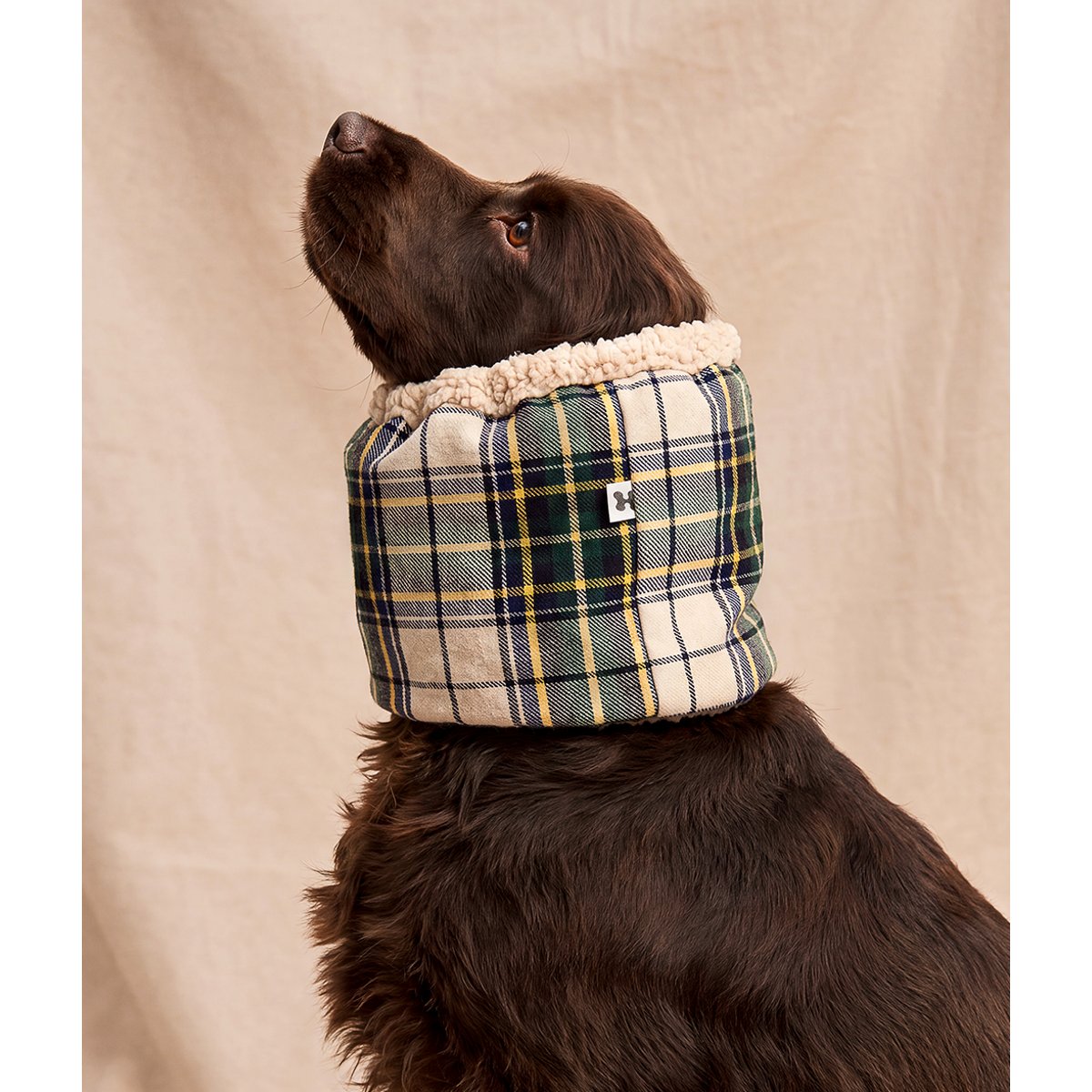 Snood tartan beige pour chien, Olga beige, CAFIDE