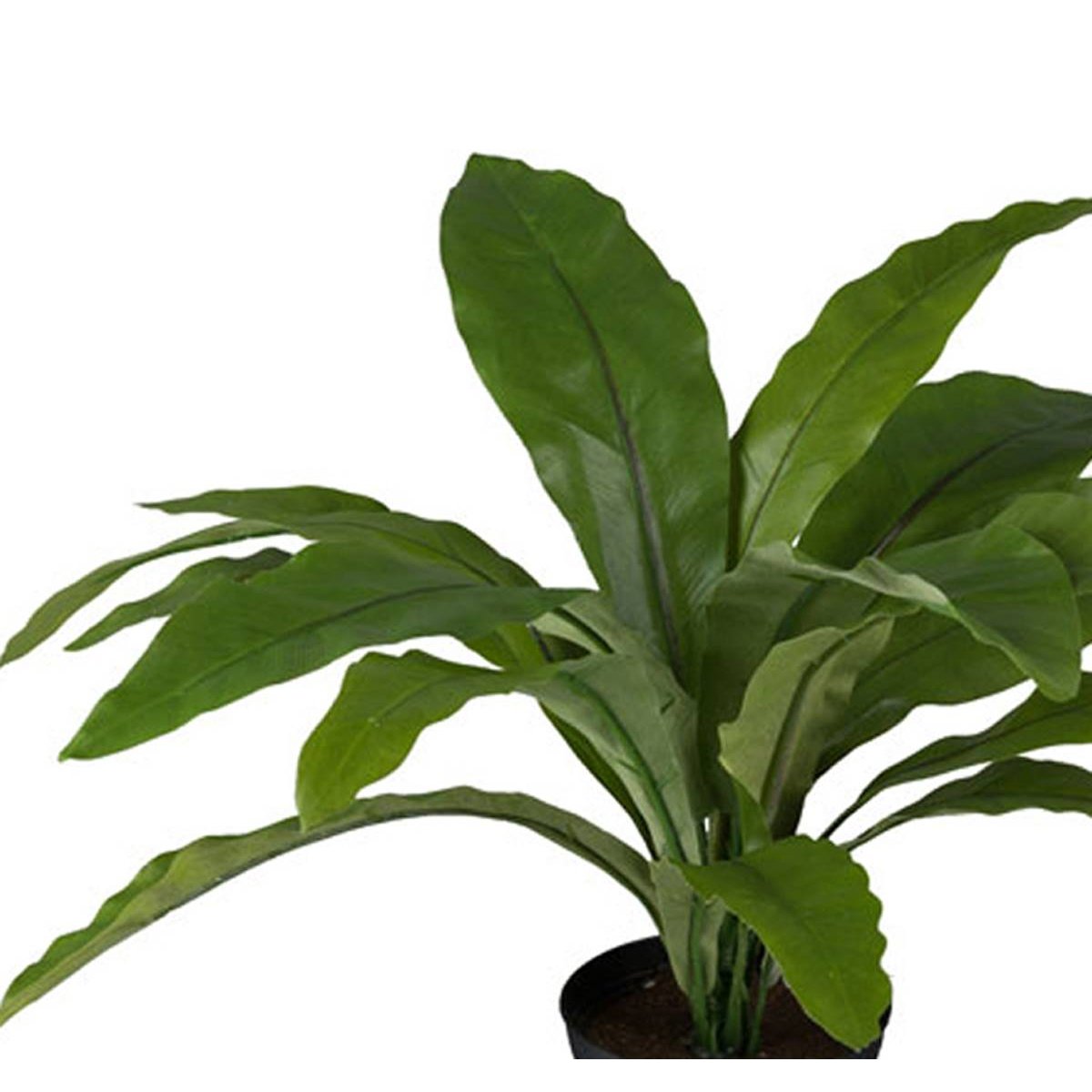 Fougère asplenium artificielle H 30 cm, D 3 v002239, ARTIFICIELLES