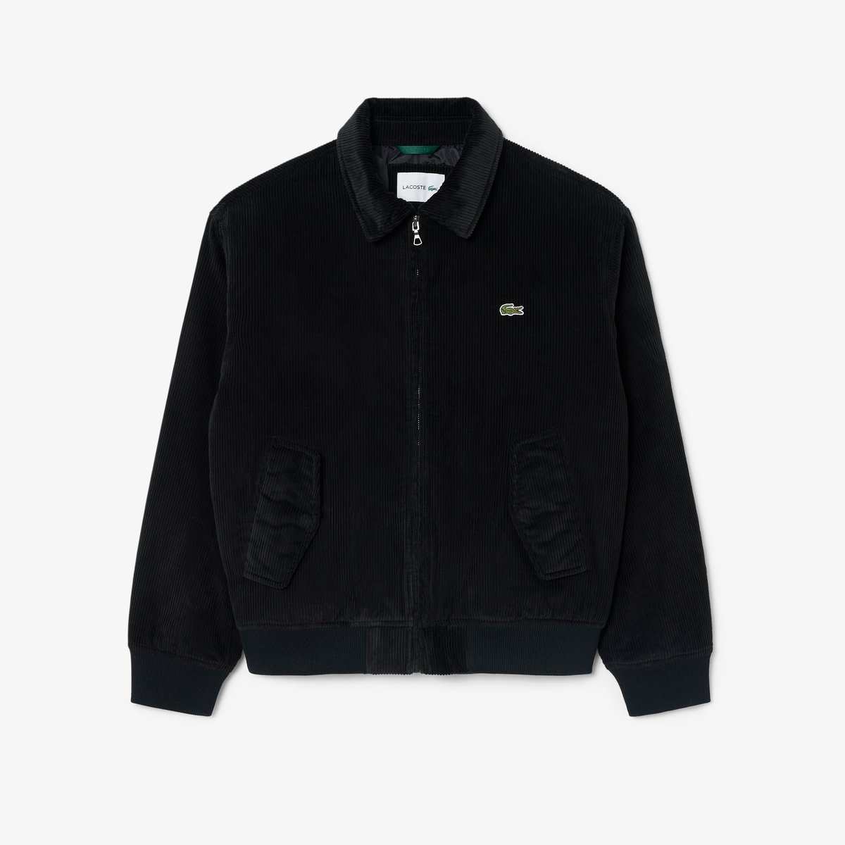 Bomber rembourré velours côtelé noir-031, LACOSTE