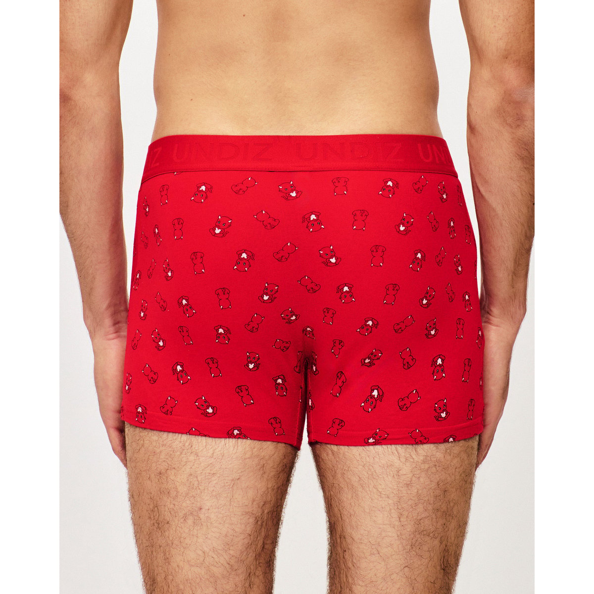 Boxer coton à motifs REPEATIZ DEVI rouge, UNDIZ