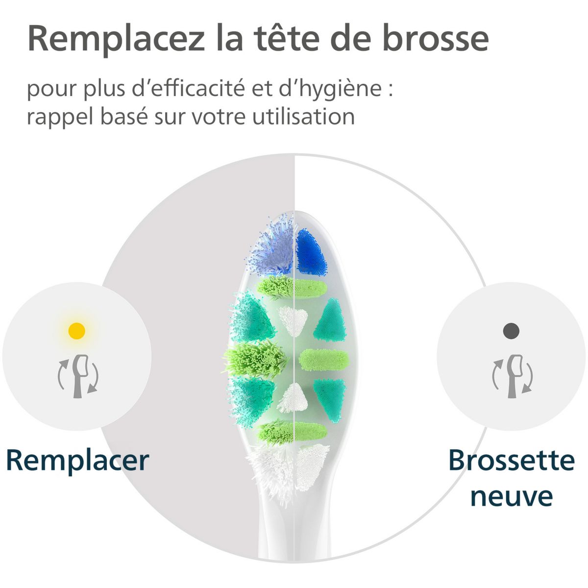Brossette dentaire Sonicare lot de 6 InterCare blanc couleur unique, PHILIPS