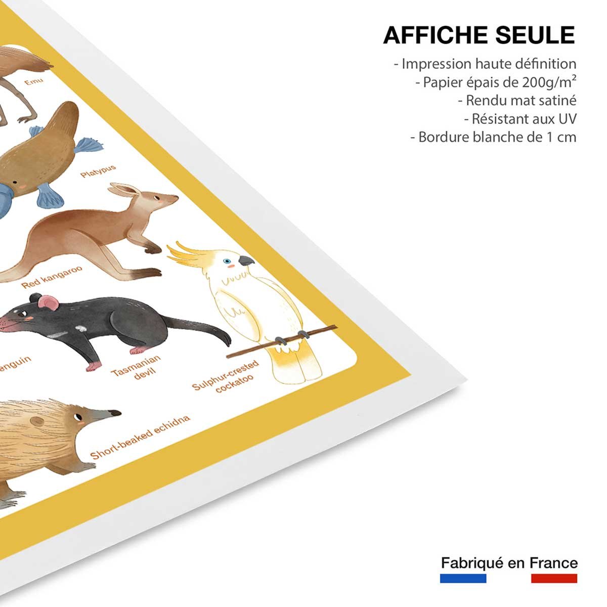 Affiche enfant animaux d' australie affiche seule, HEXOA