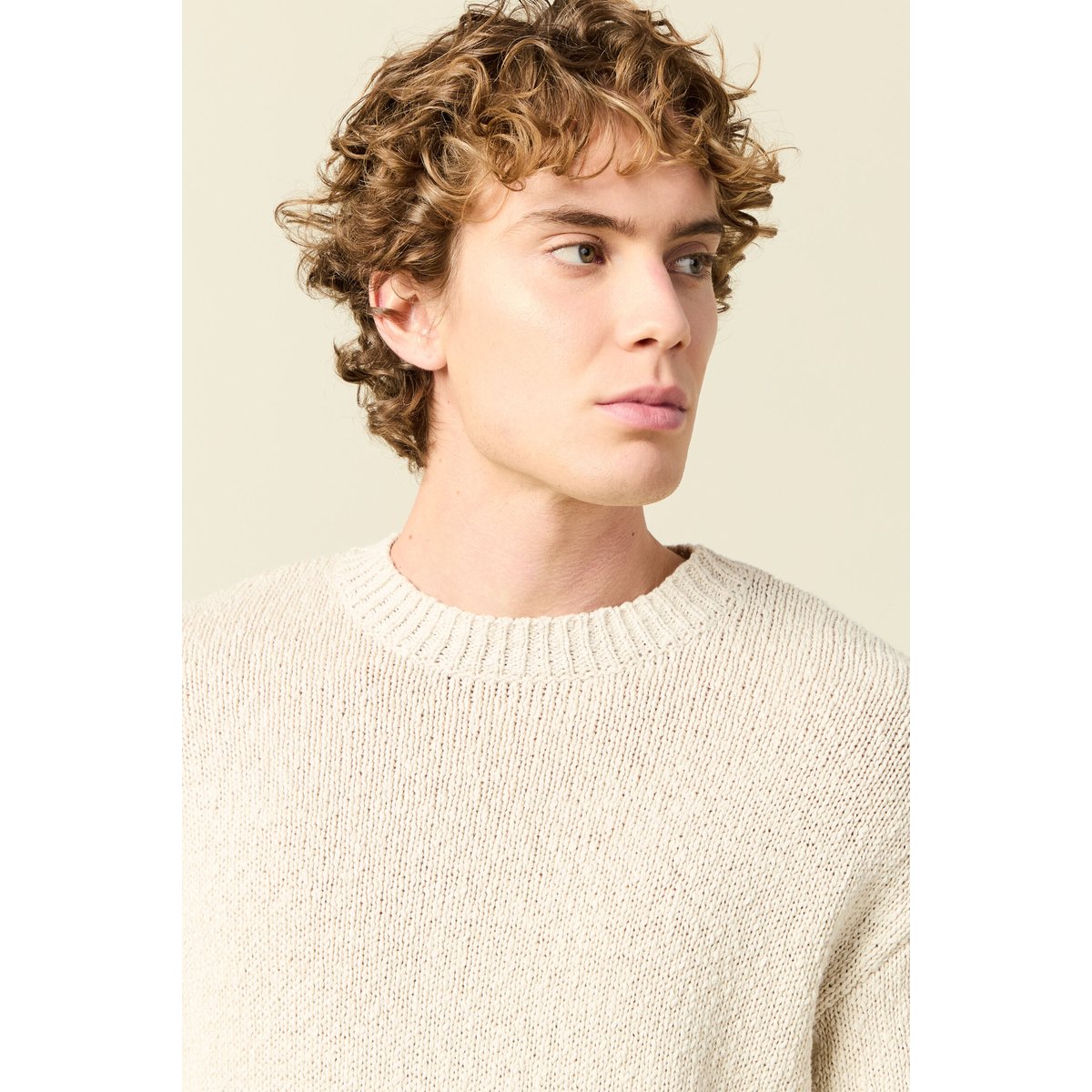 Pull col rond manches longues en coton sable, BONOBO