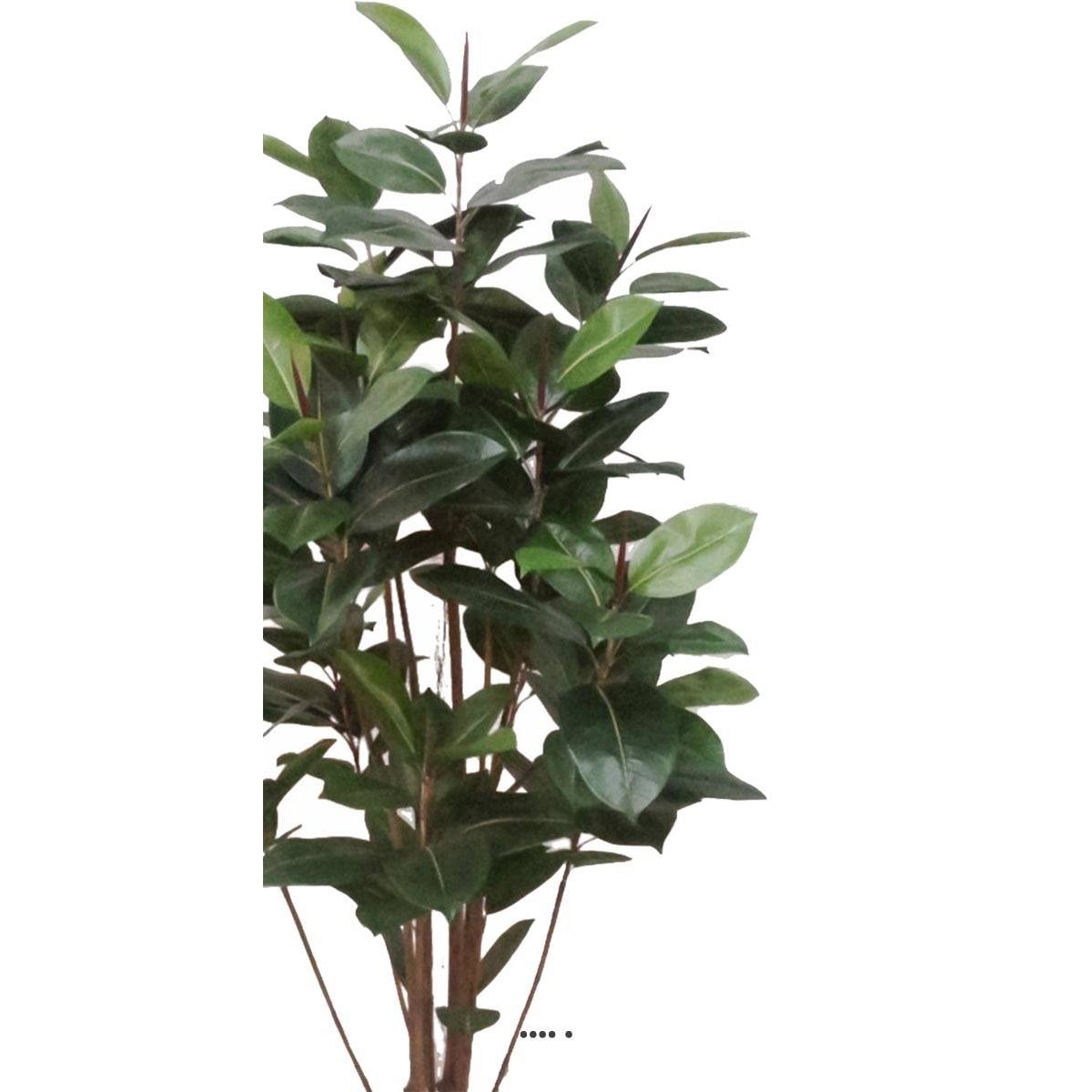 Ficus Robusta factice tronc PE en pot bea vert, ARTIFICIELLES