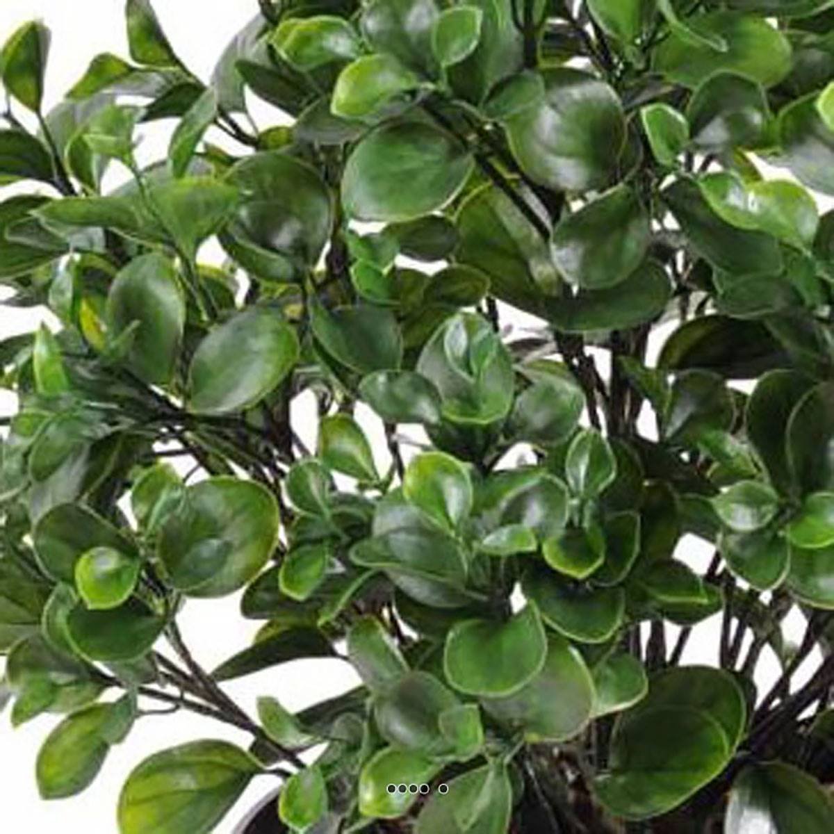 Peperomia artificiel en pot buisson extérieur vert, ARTIFICIELLES