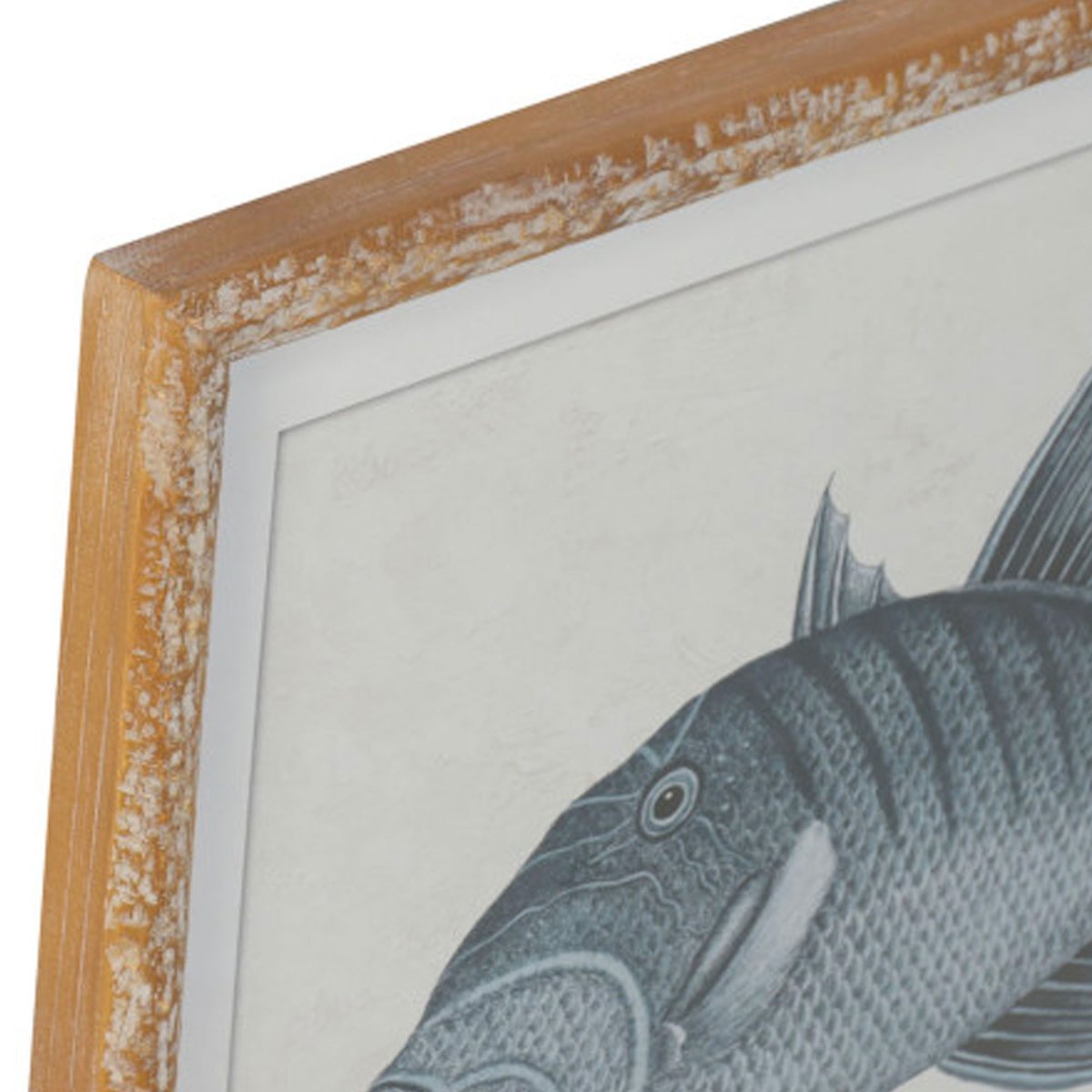 Set de 4 cadres décoratifs poissons 50x3x40cm noir & blanc, WADIGA