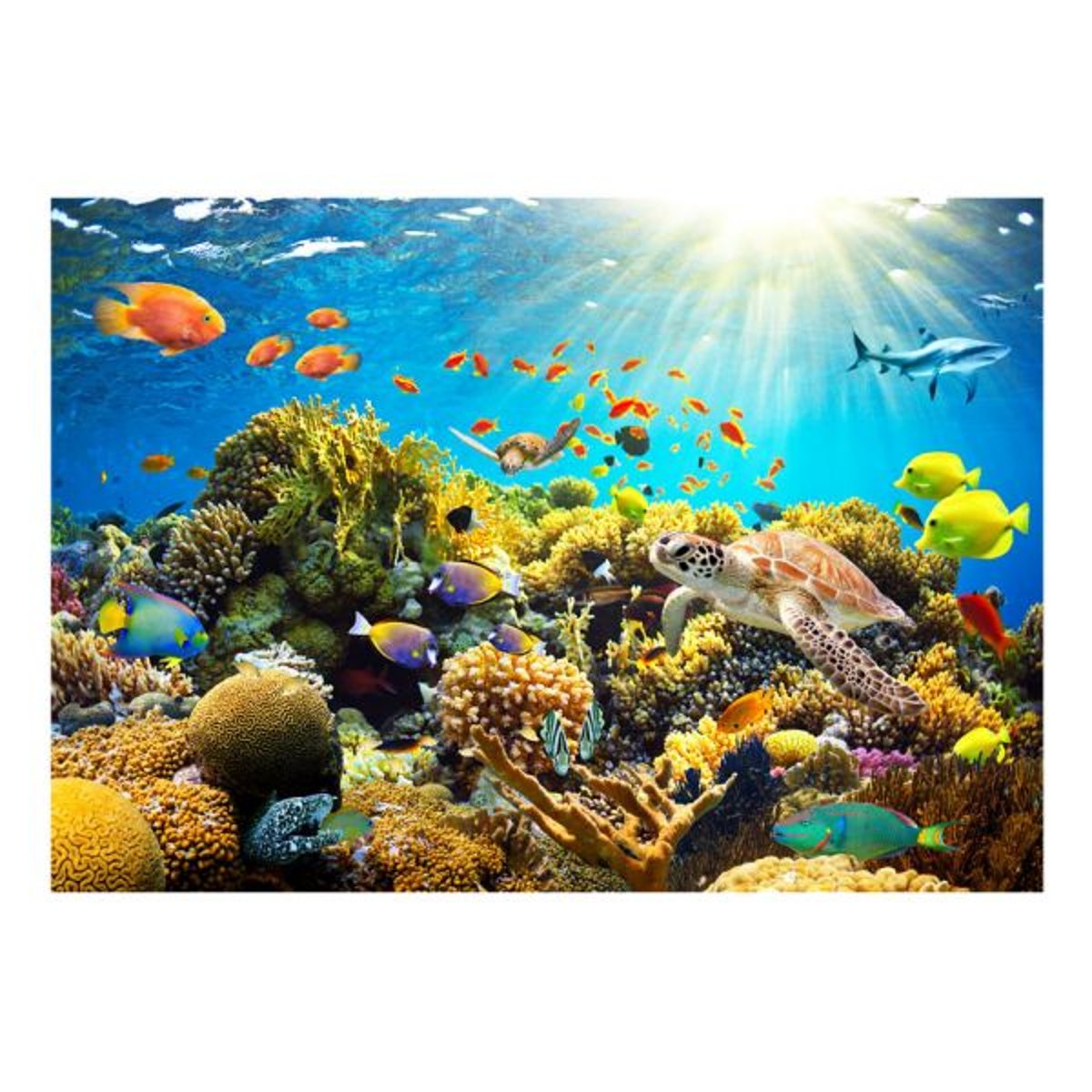 Papier peint intissé panoramique Paysage Underwater Land multicouleur, EDEN
