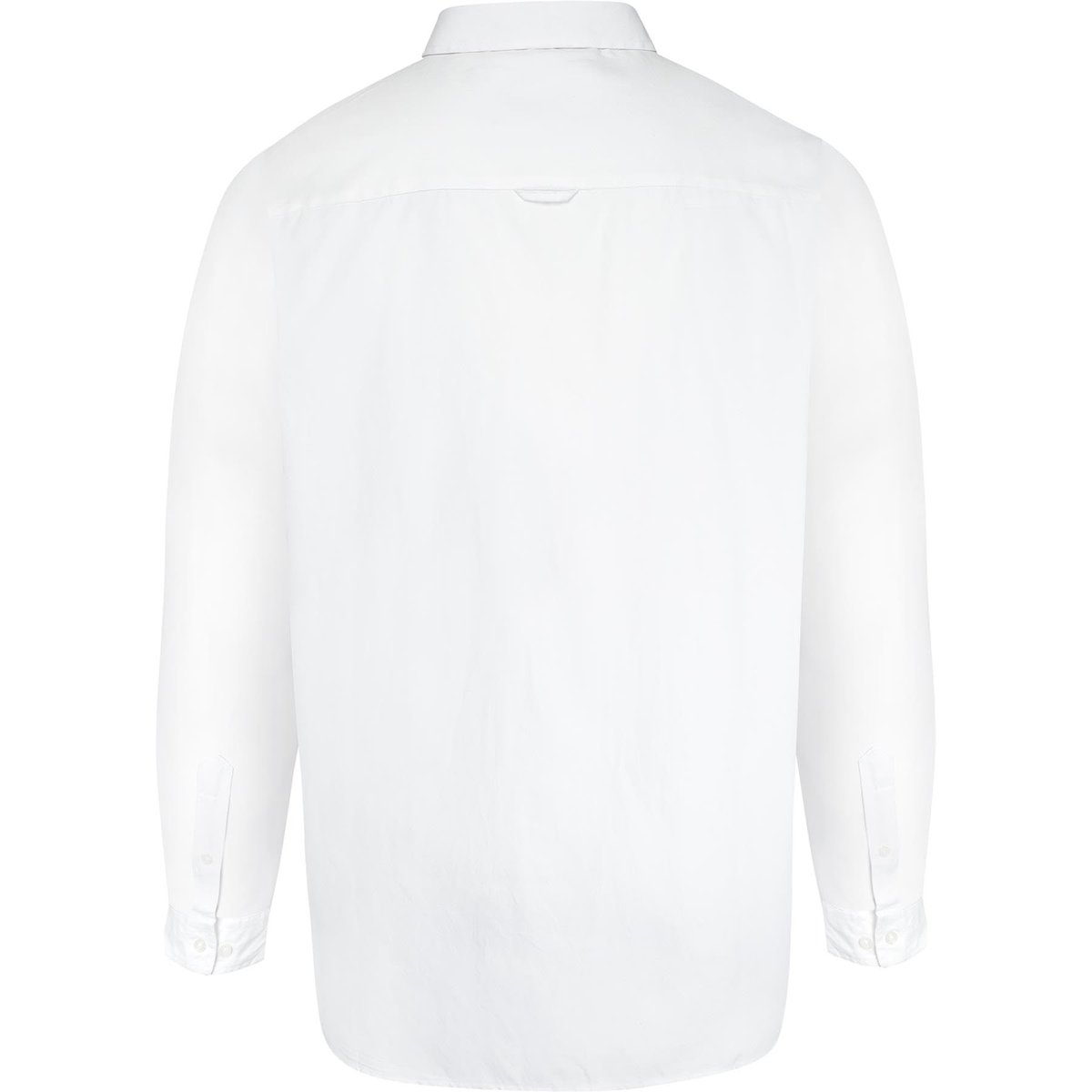Chemise unie manches longues grande taille RICHARD bleu marine, DUKE