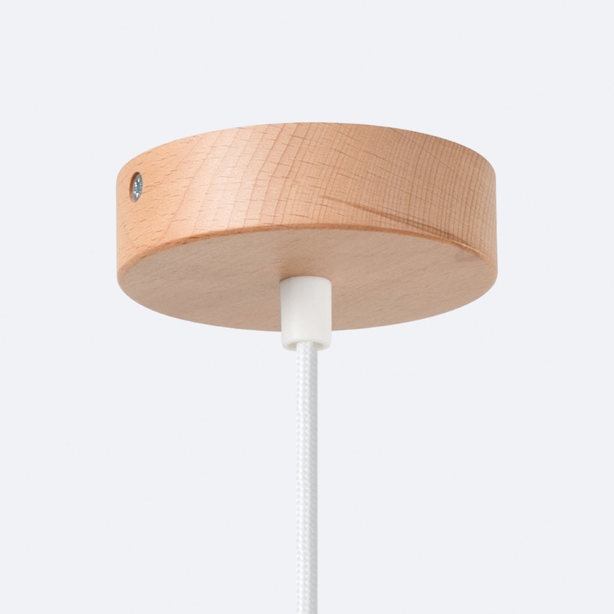 Suspension Acier Blanc E27 1 Indy blanc, EDEN