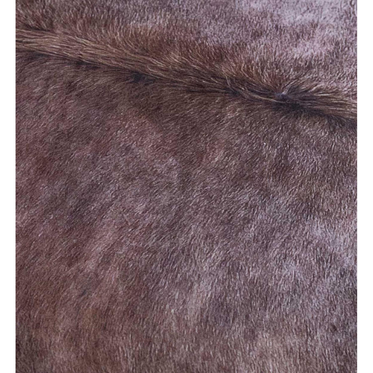 Tapis marron, DECORATION D’AUTREFOIS