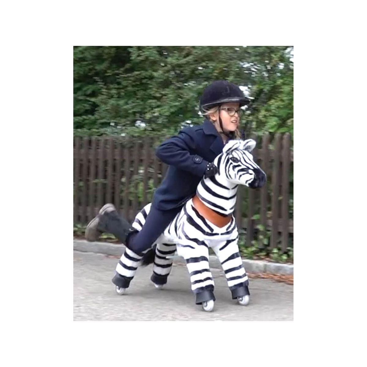 Ponycycle Zèbre à montrer Age 4-8 ans couleur unique, PONYCYCLE