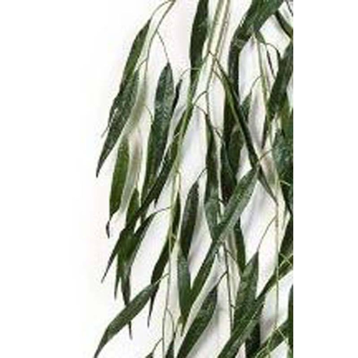 Branche de saule pleureur artificiel H 134 cm v002239, ARTIFICIELLES