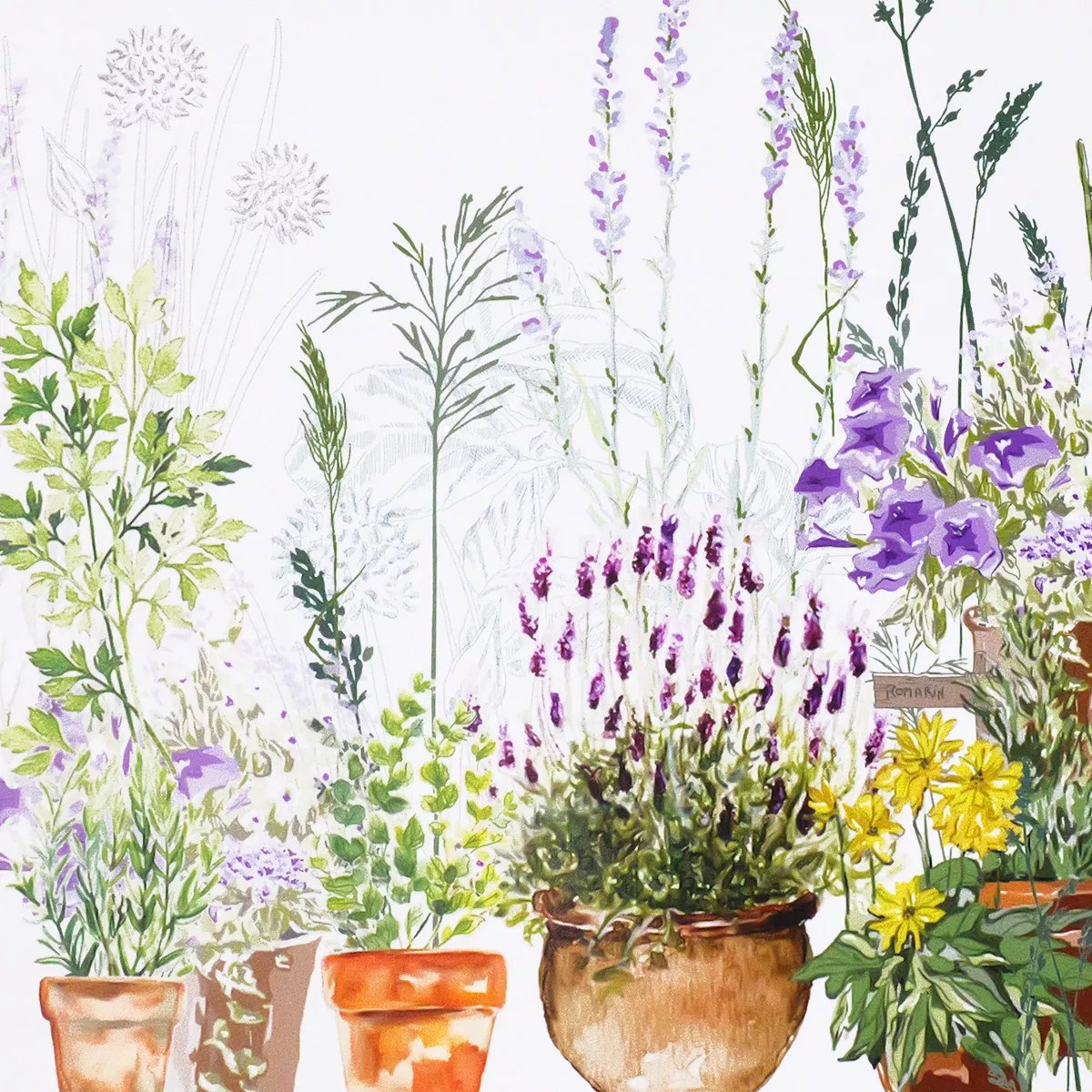 Set vinyle JARDIN AROMATIQUE provence, GARNIER THIEBAUT