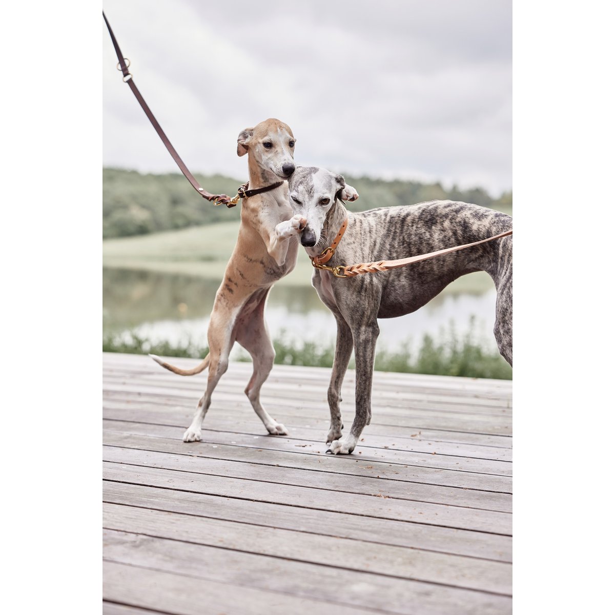 Laisser seul en cuir pour chien LIVING brun, OYOY LIVING DESIGN