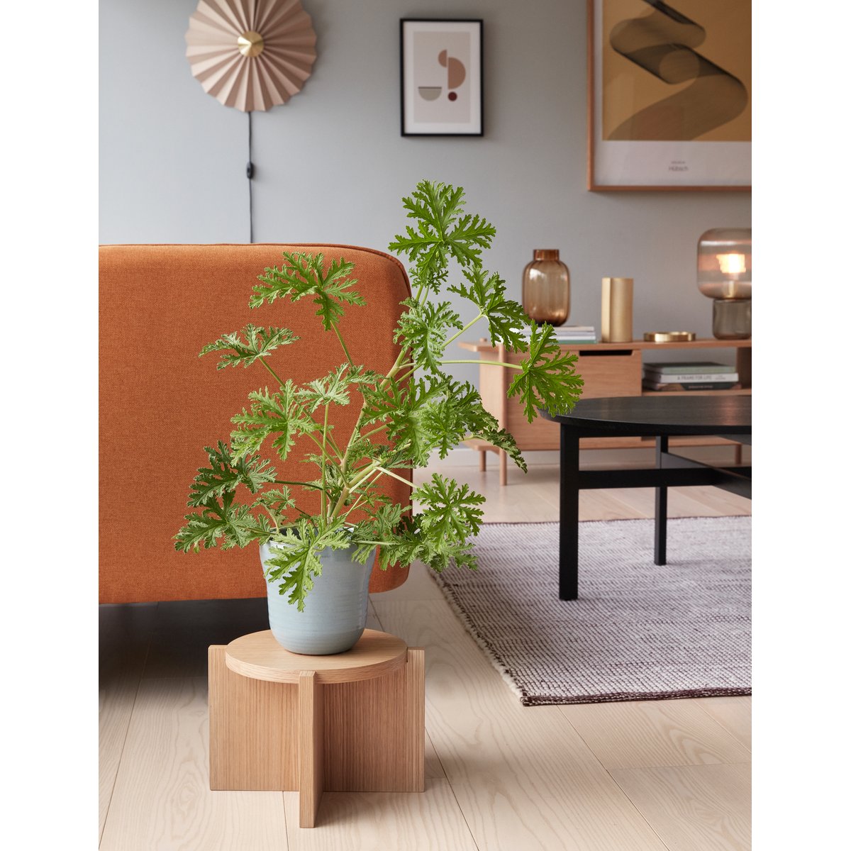 Porte-plante en placage de chêne et bois de chêne NOMAD naturel, HUBSCH