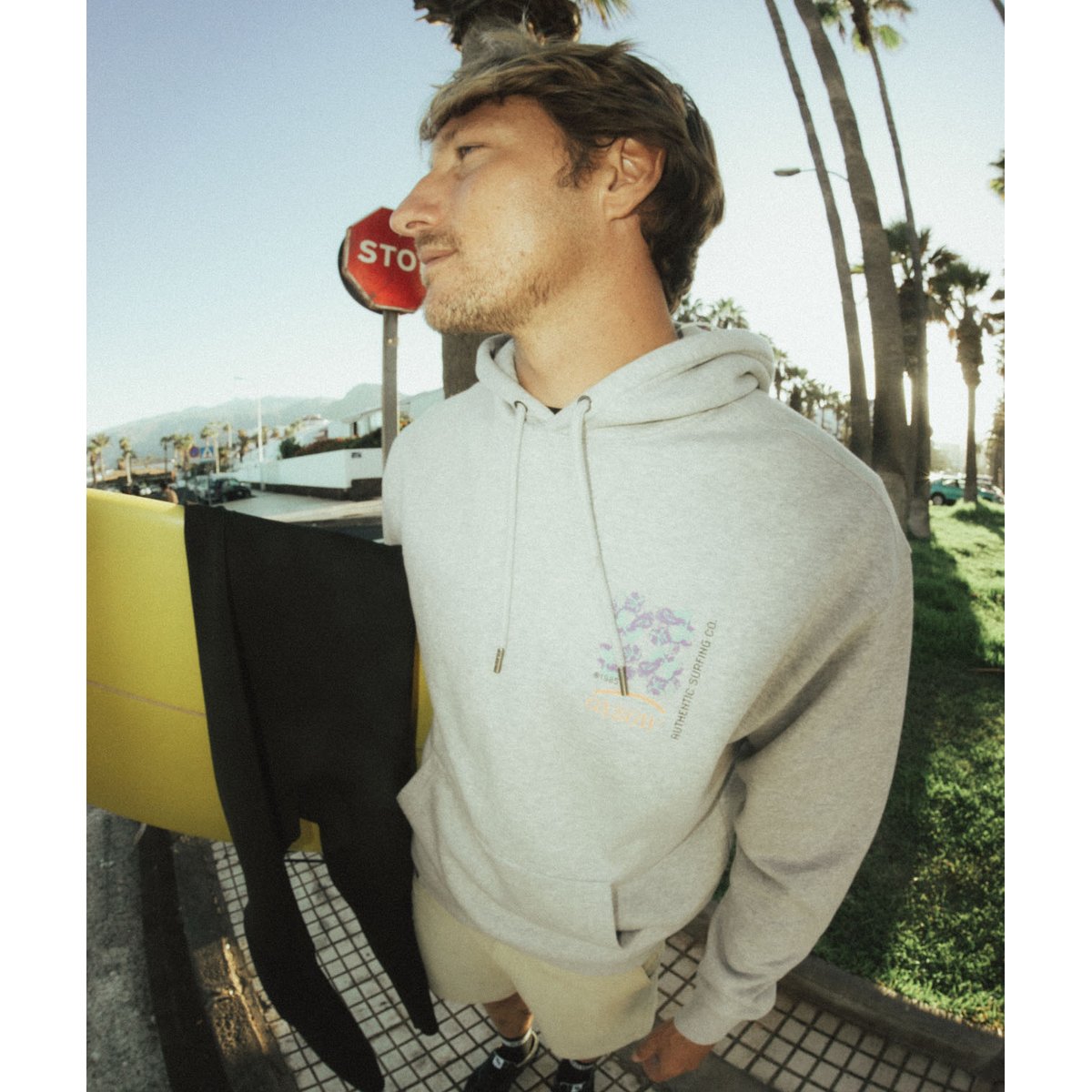 Sweat à capuche PIXELATE grey heather, OXBOW