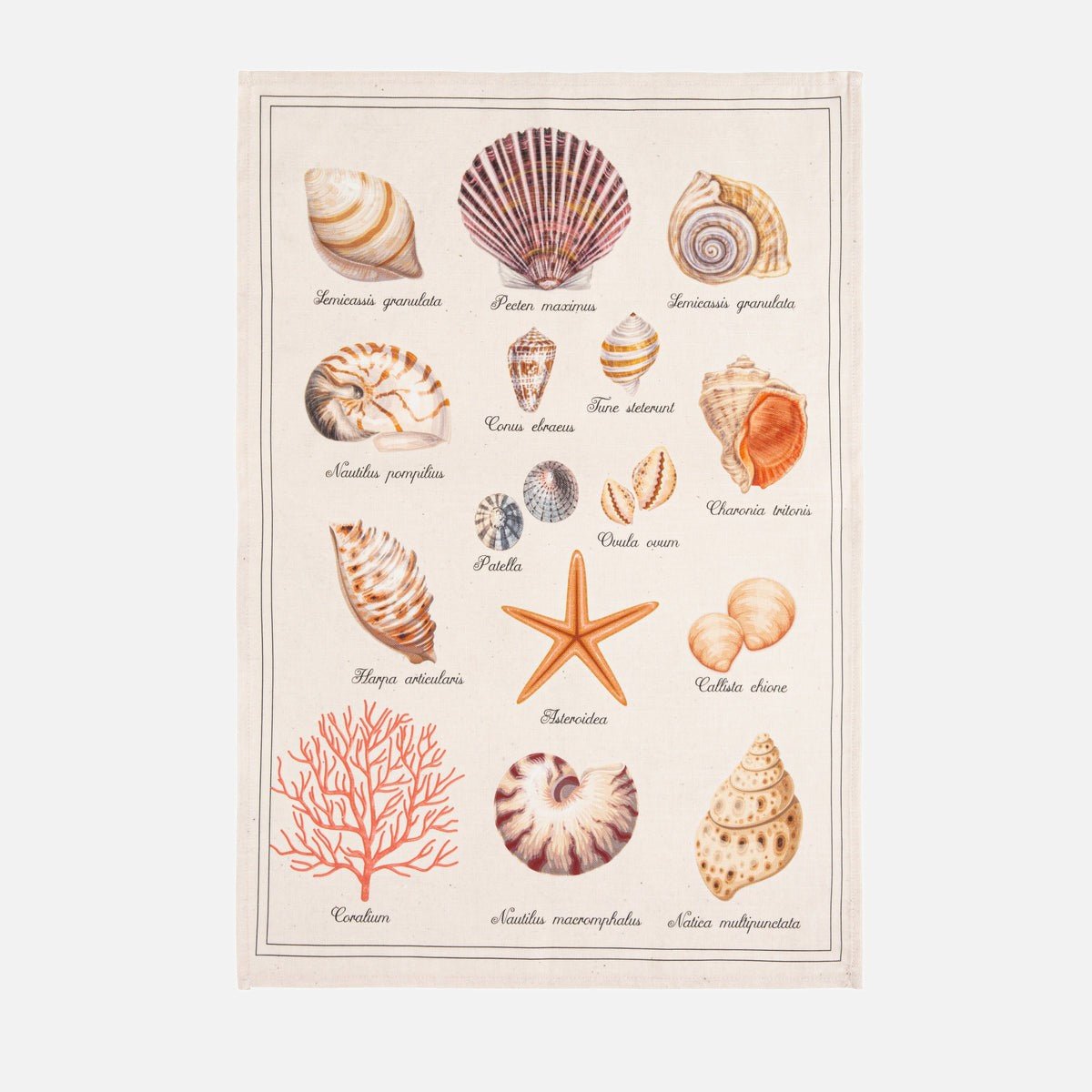 Torchon imprimé coton et lin TRÉSOR DE LA MER beige, COUCKE